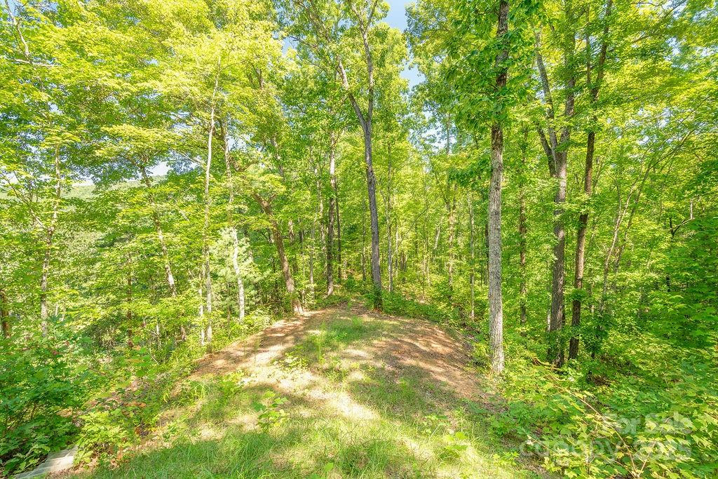 145 Mountain Forest Drive - Photo 30