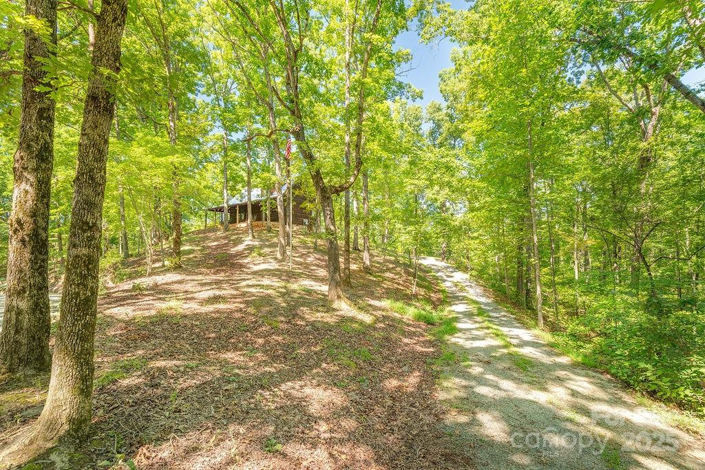 145 Mountain Forest Drive - Photo 31