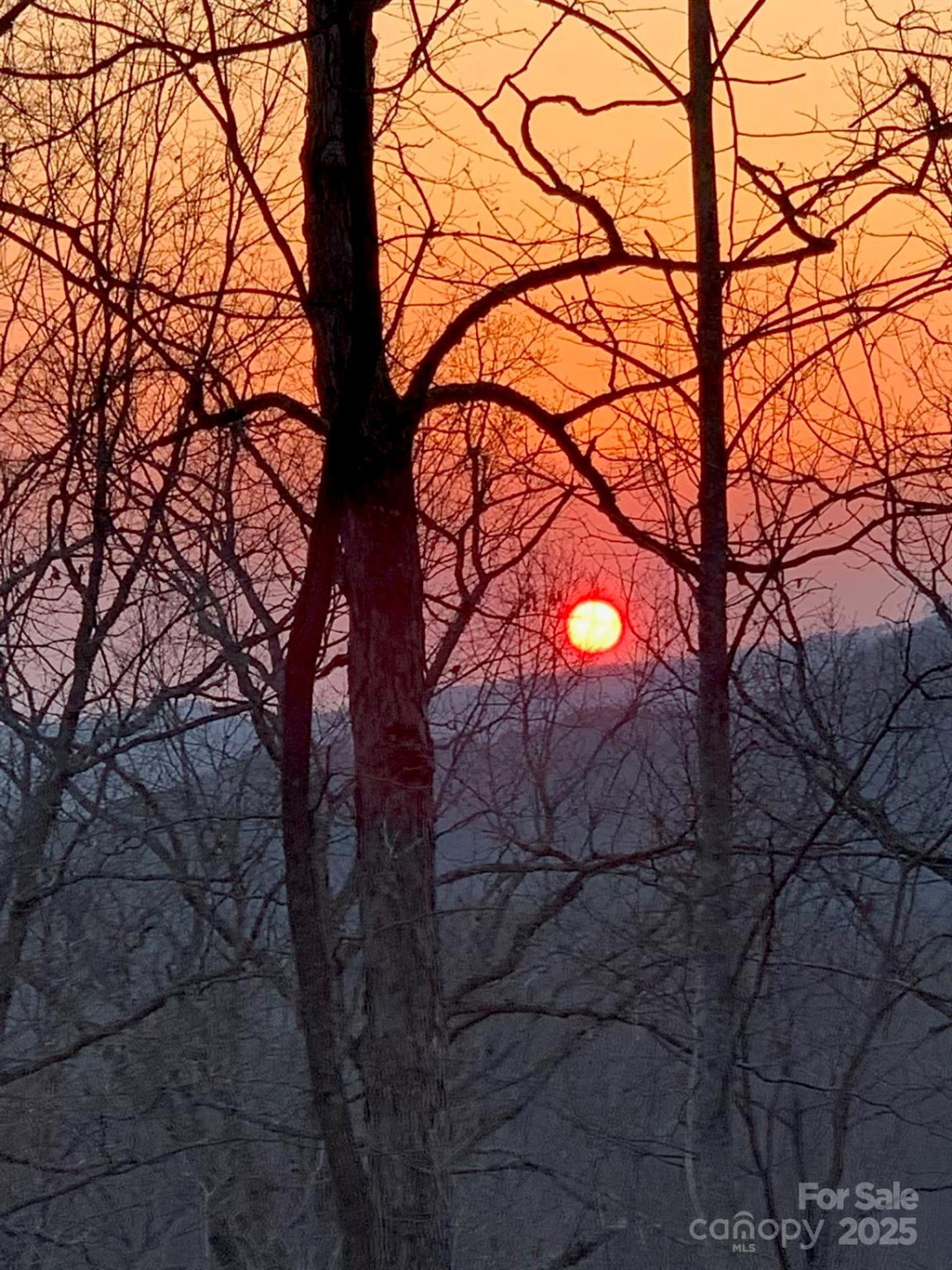 145 Mountain Forest Drive - Photo 47