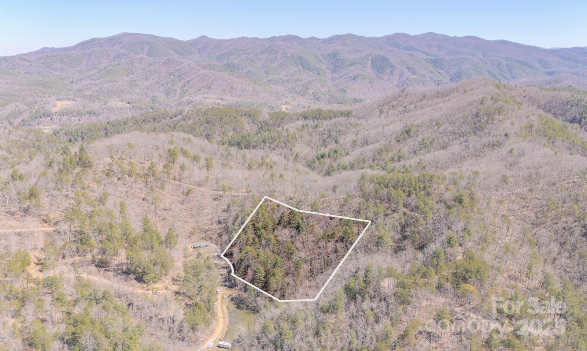 TBD Plum Tree Holler Drive - Photo 2