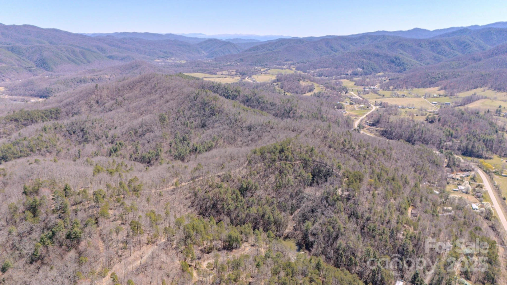 TBD Plum Tree Holler Drive - Photo 11
