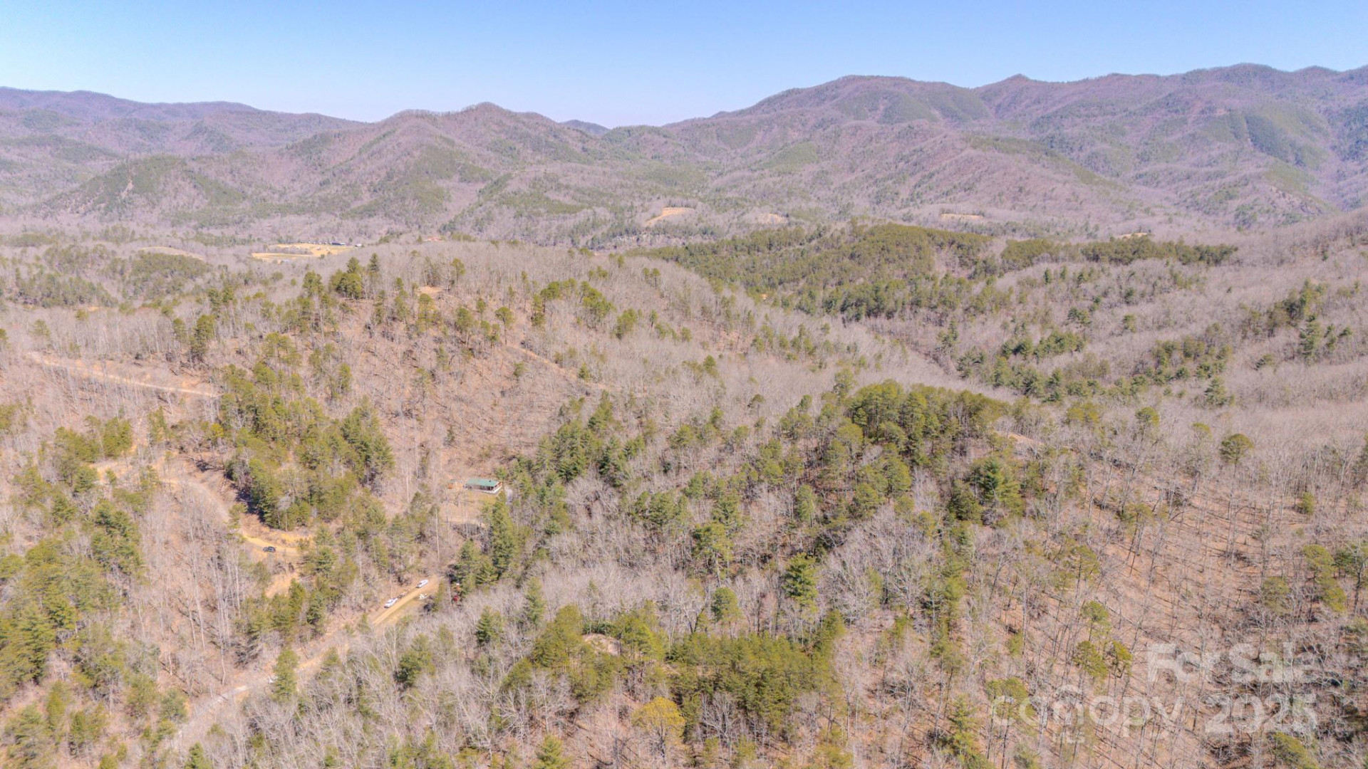 TBD Plum Tree Holler Drive - Photo 3