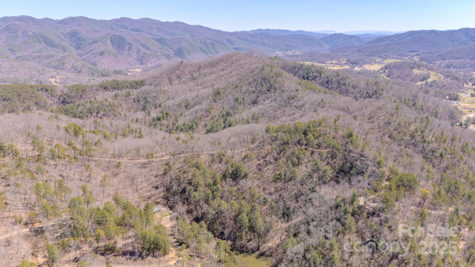 TBD Plum Tree Holler Drive - Photo 4