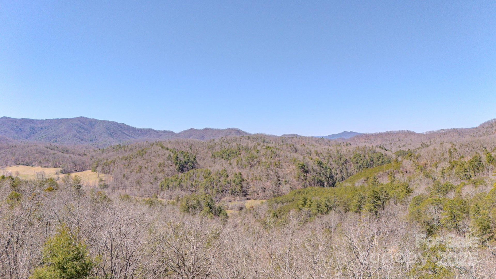 TBD Plum Tree Holler Drive - Photo 5