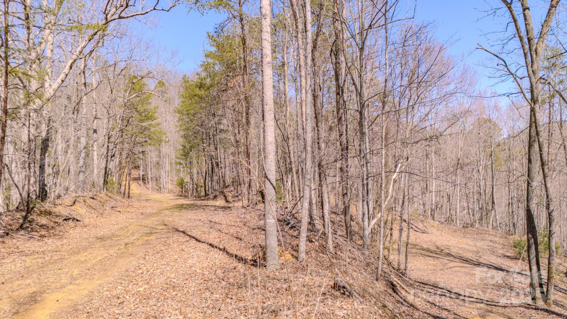 TBD Plum Tree Holler Drive - Photo 7