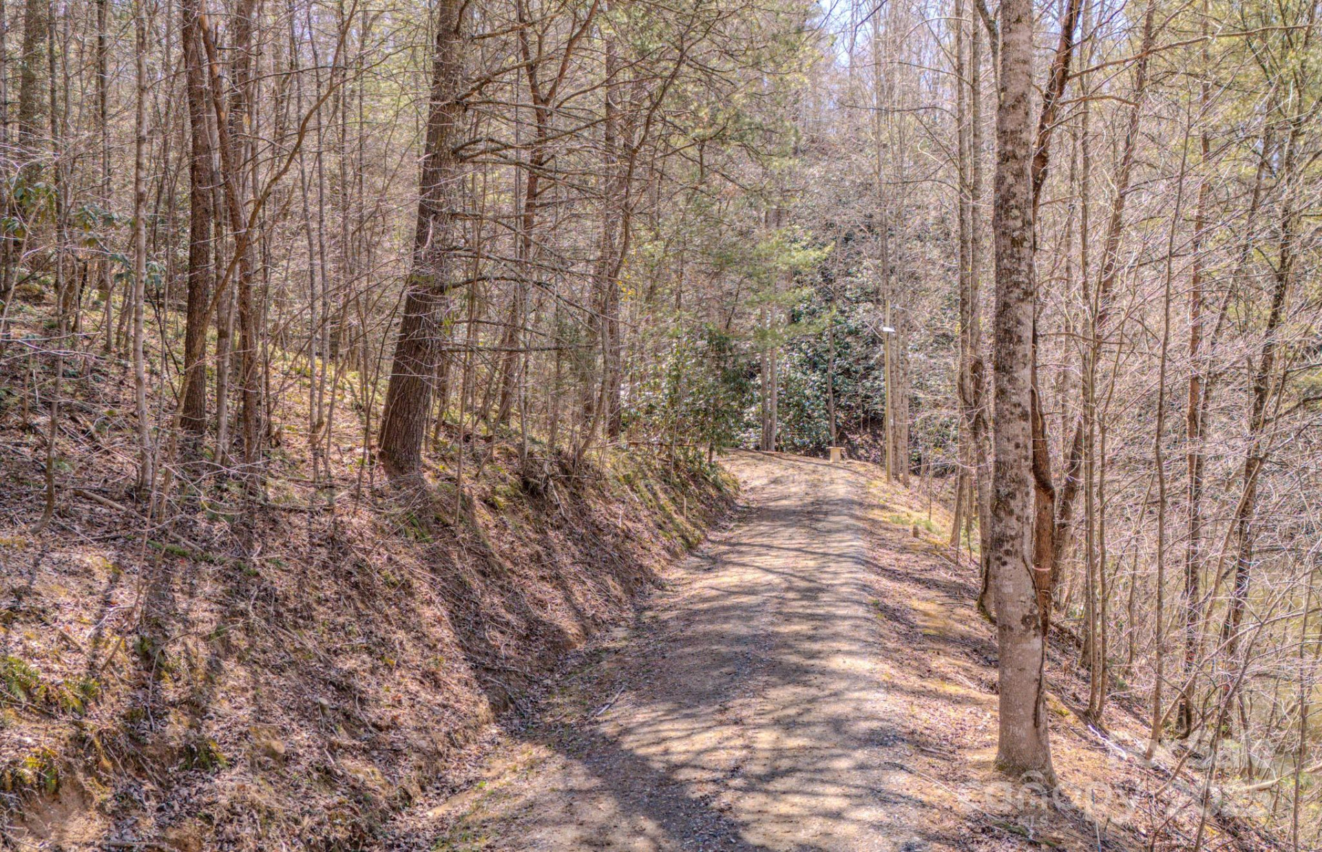 TBD Plum Tree Holler Drive - Photo 8