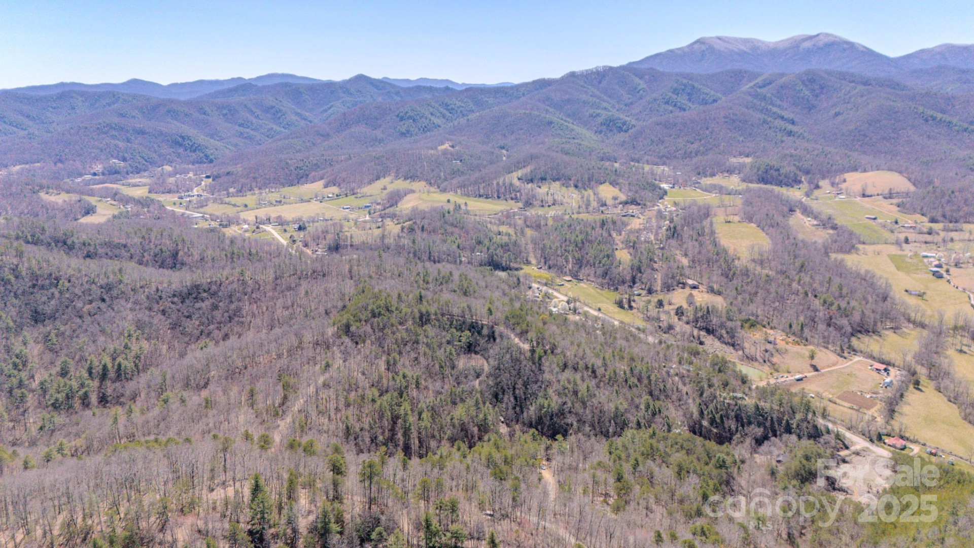 TBD Plum Tree Holler Drive - Photo 9