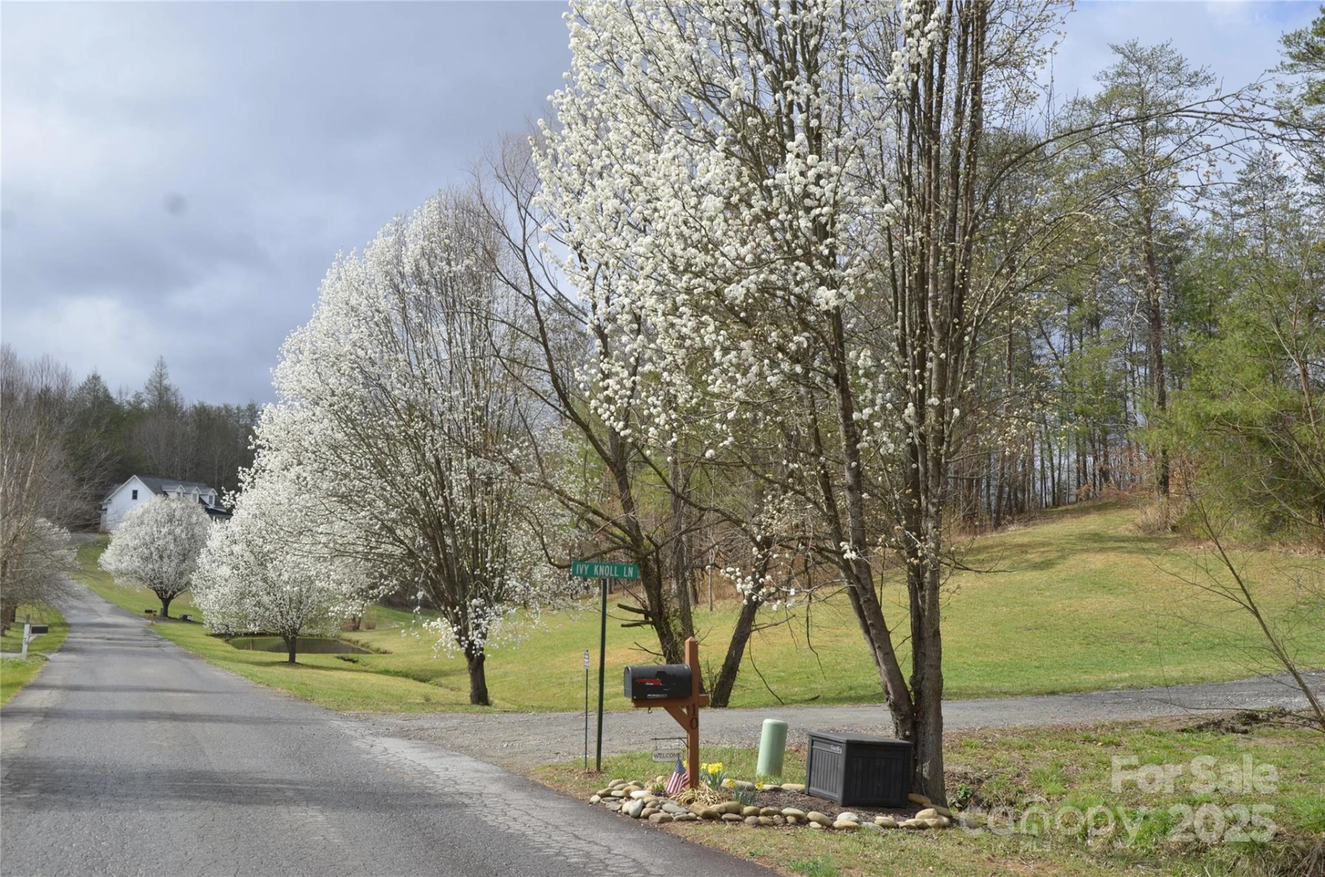 63 Ivy Meadows Drive #21 - Photo 2