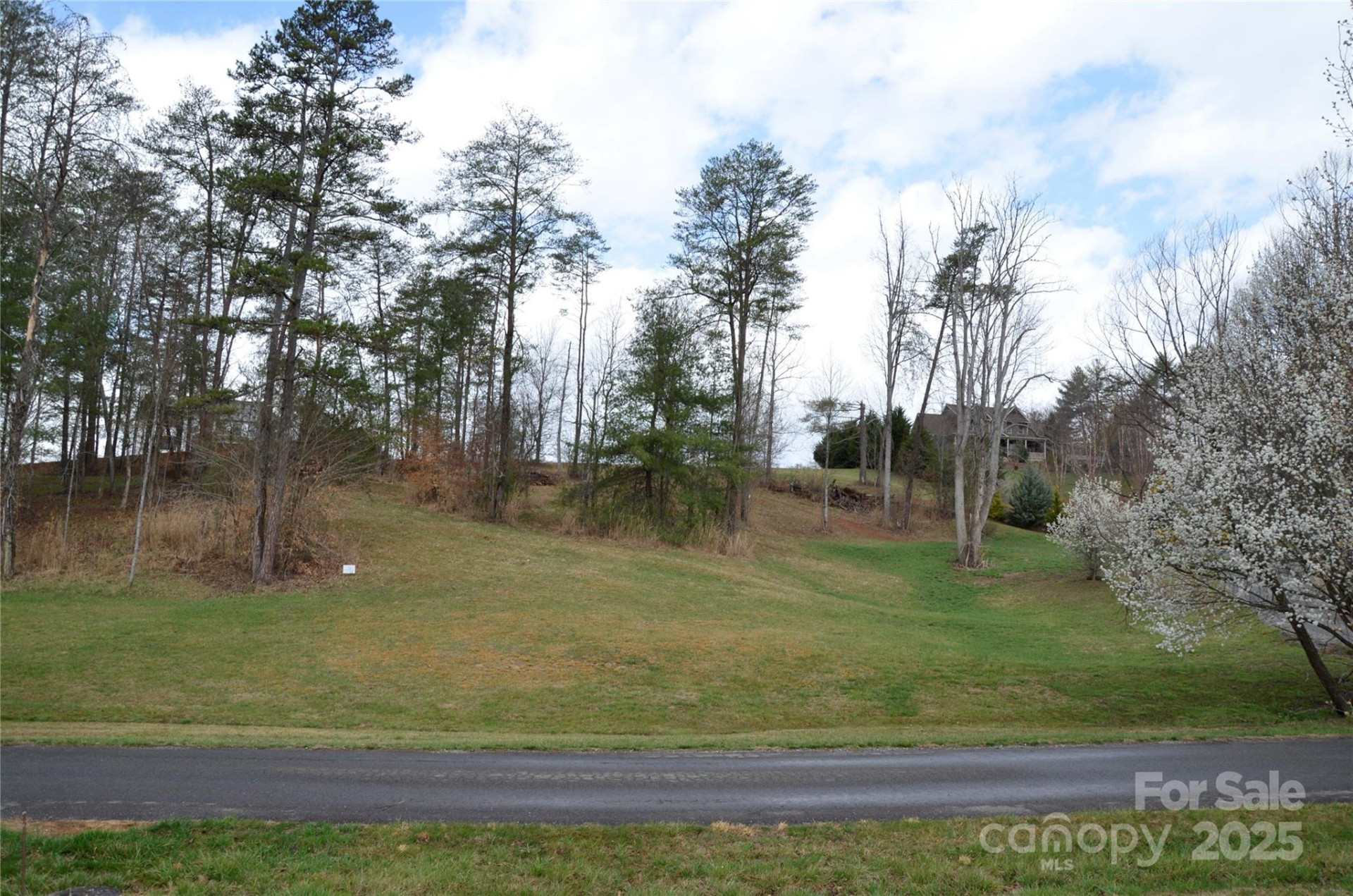 63 Ivy Meadows Drive #21 - Photo 4