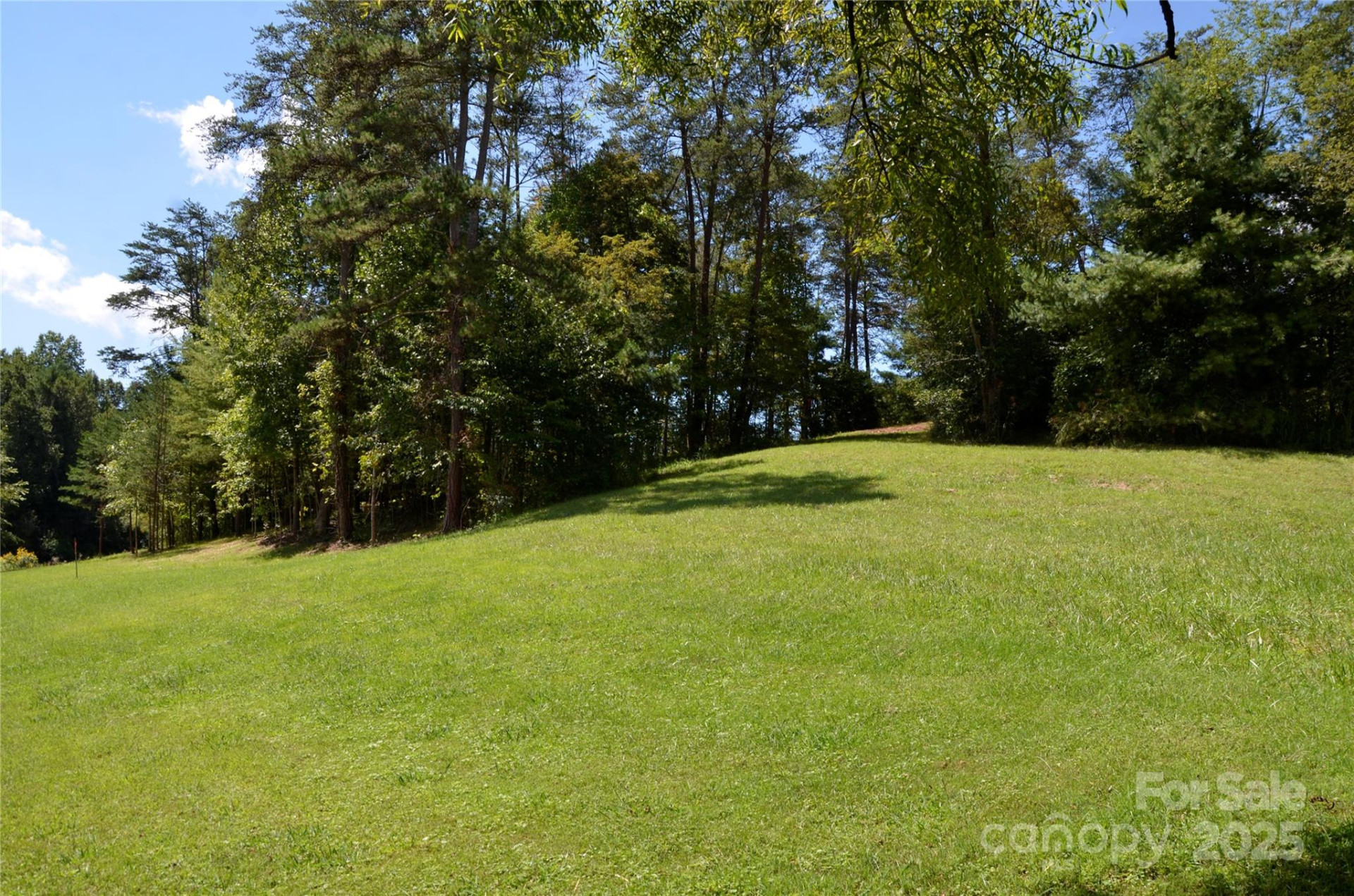 63 Ivy Meadows Drive #21 - Photo 5