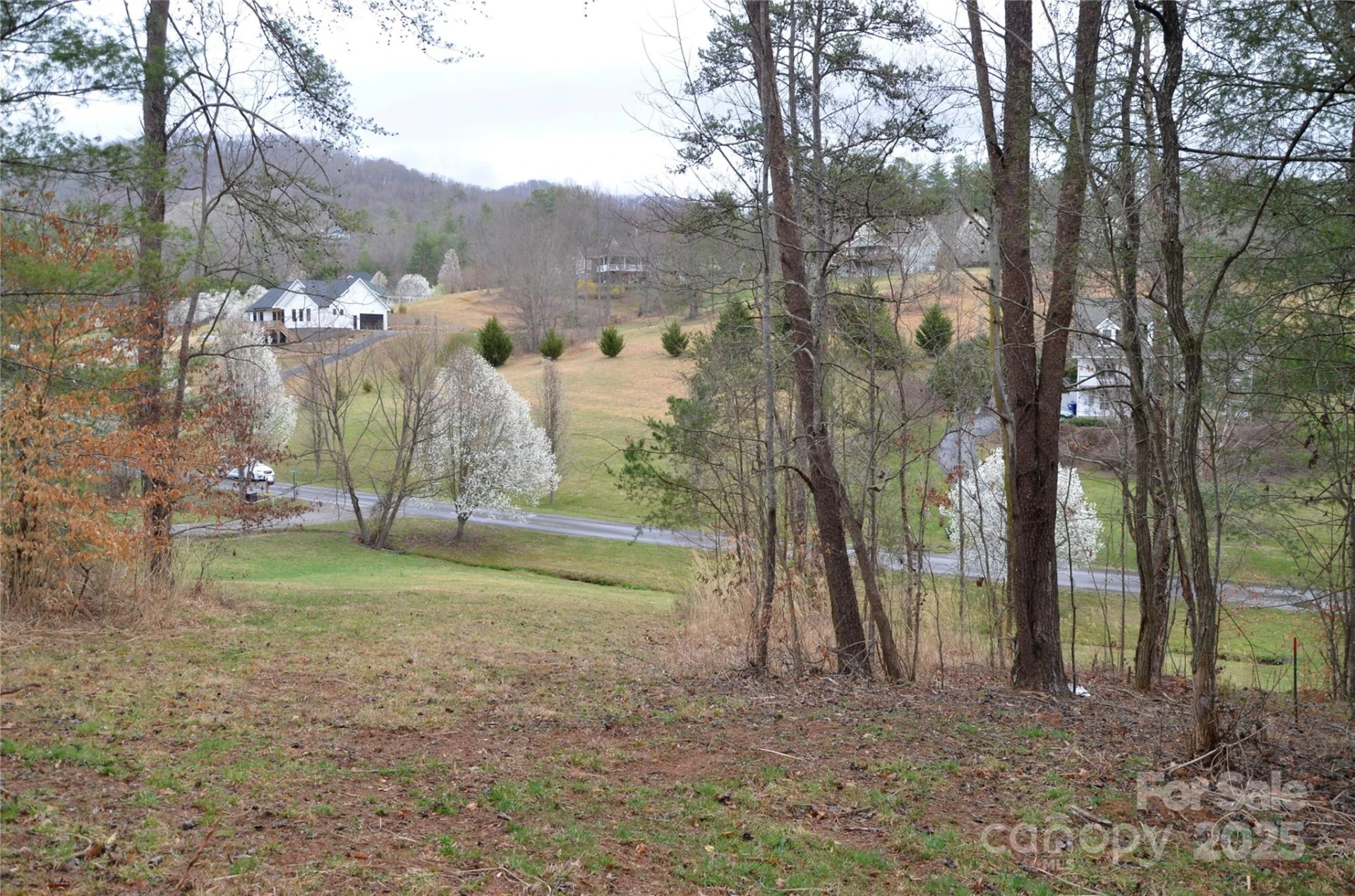 63 Ivy Meadows Drive #21 - Photo 6