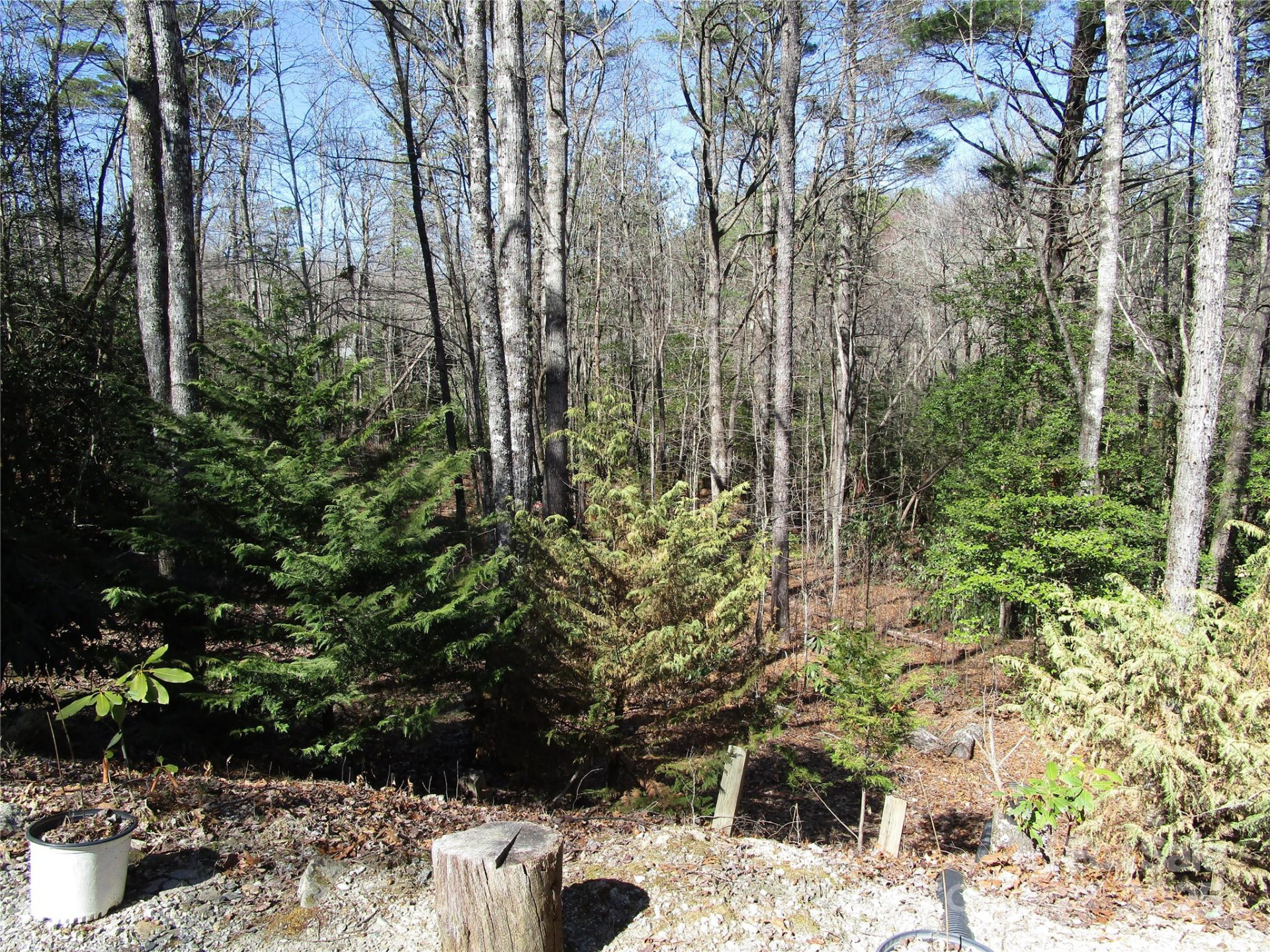 116 Minerva Lane - Photo 37