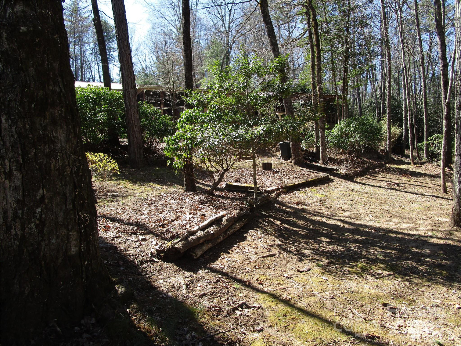 116 Minerva Lane - Photo 38