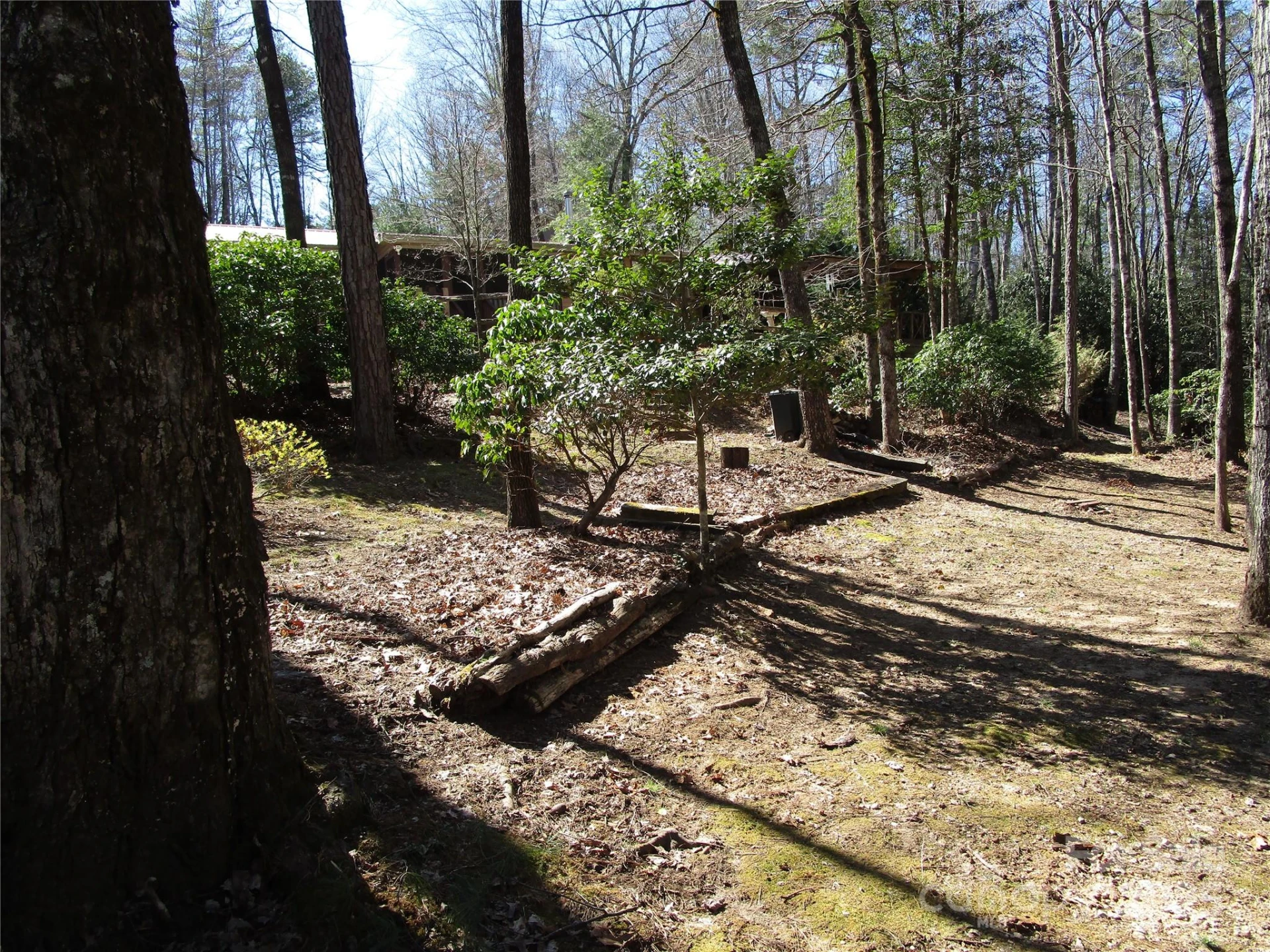 116 Minerva Lane - Photo 38