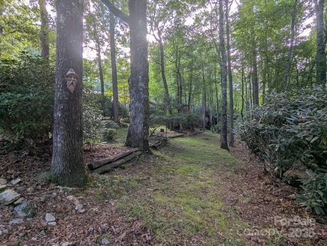 116 Minerva Lane - Photo 42