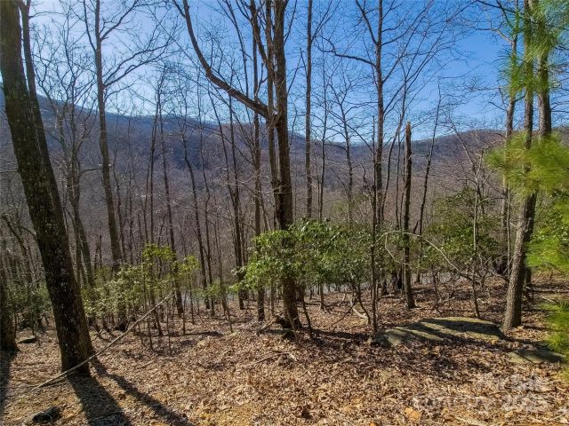 195 Smokemont Drive, Arden, NC, 28704