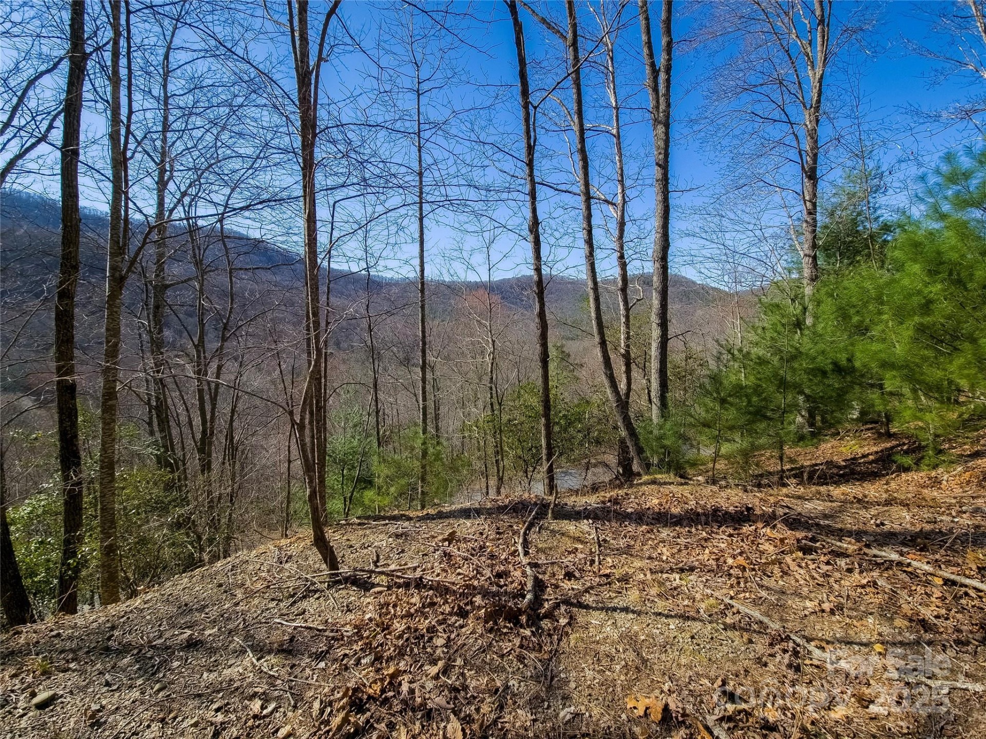 195 Smokemont Drive #64 - Photo 2