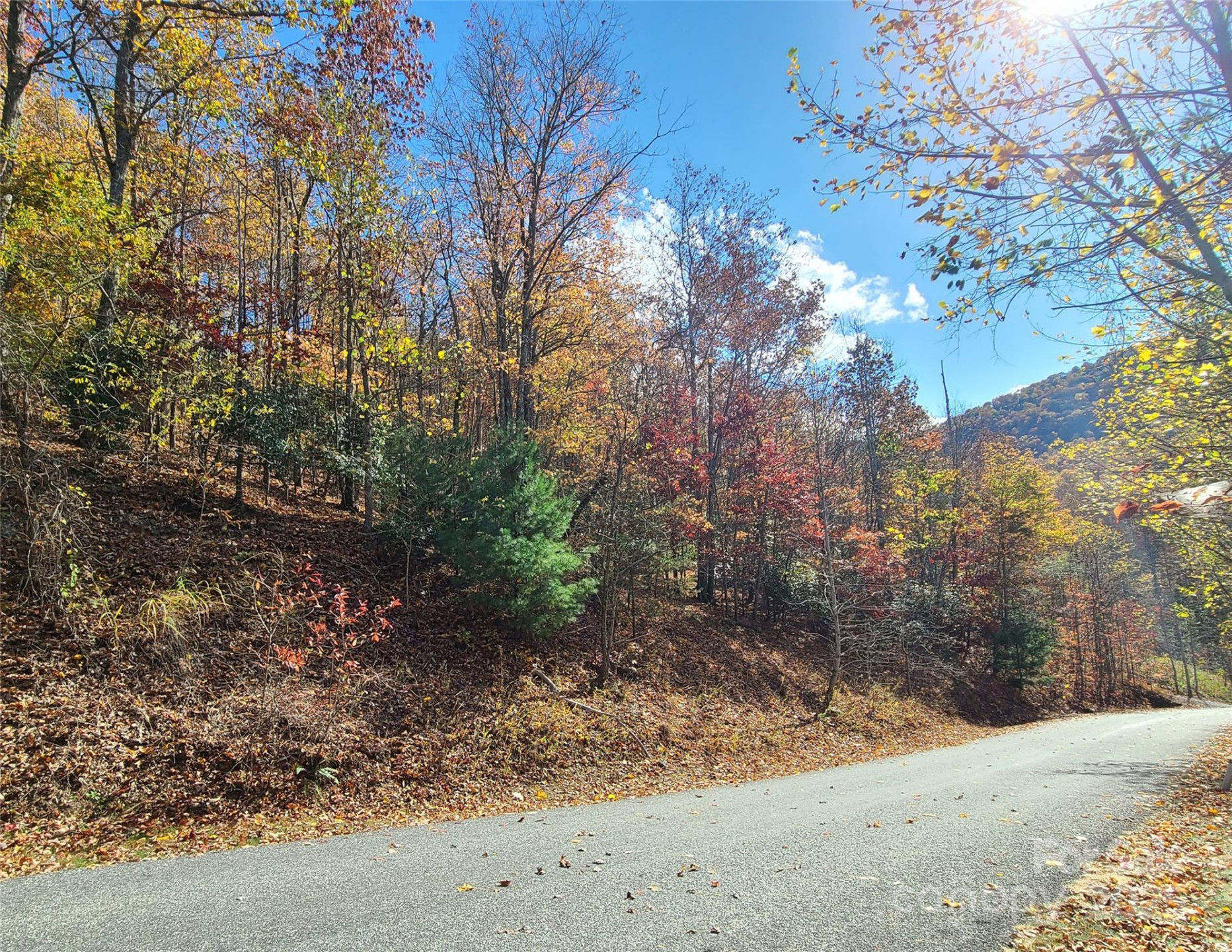 195 Smokemont Drive #64 - Photo 11