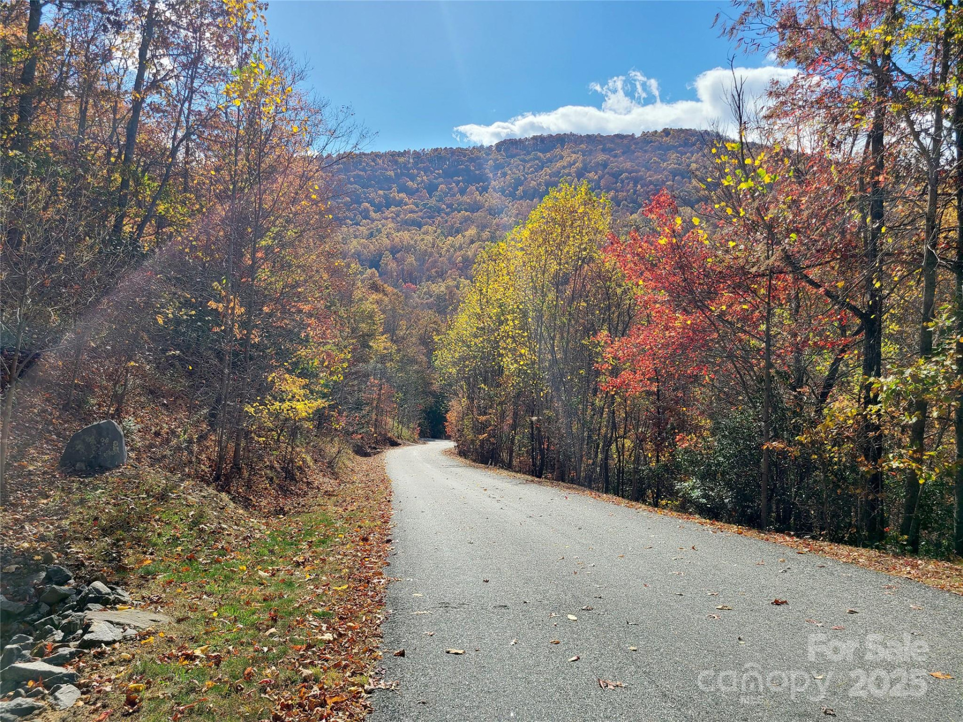 195 Smokemont Drive #64 - Photo 12