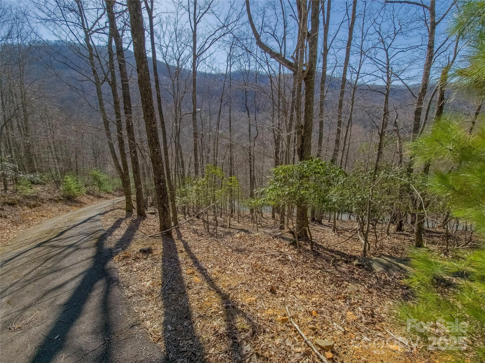 195 Smokemont Drive #64 - Photo 3