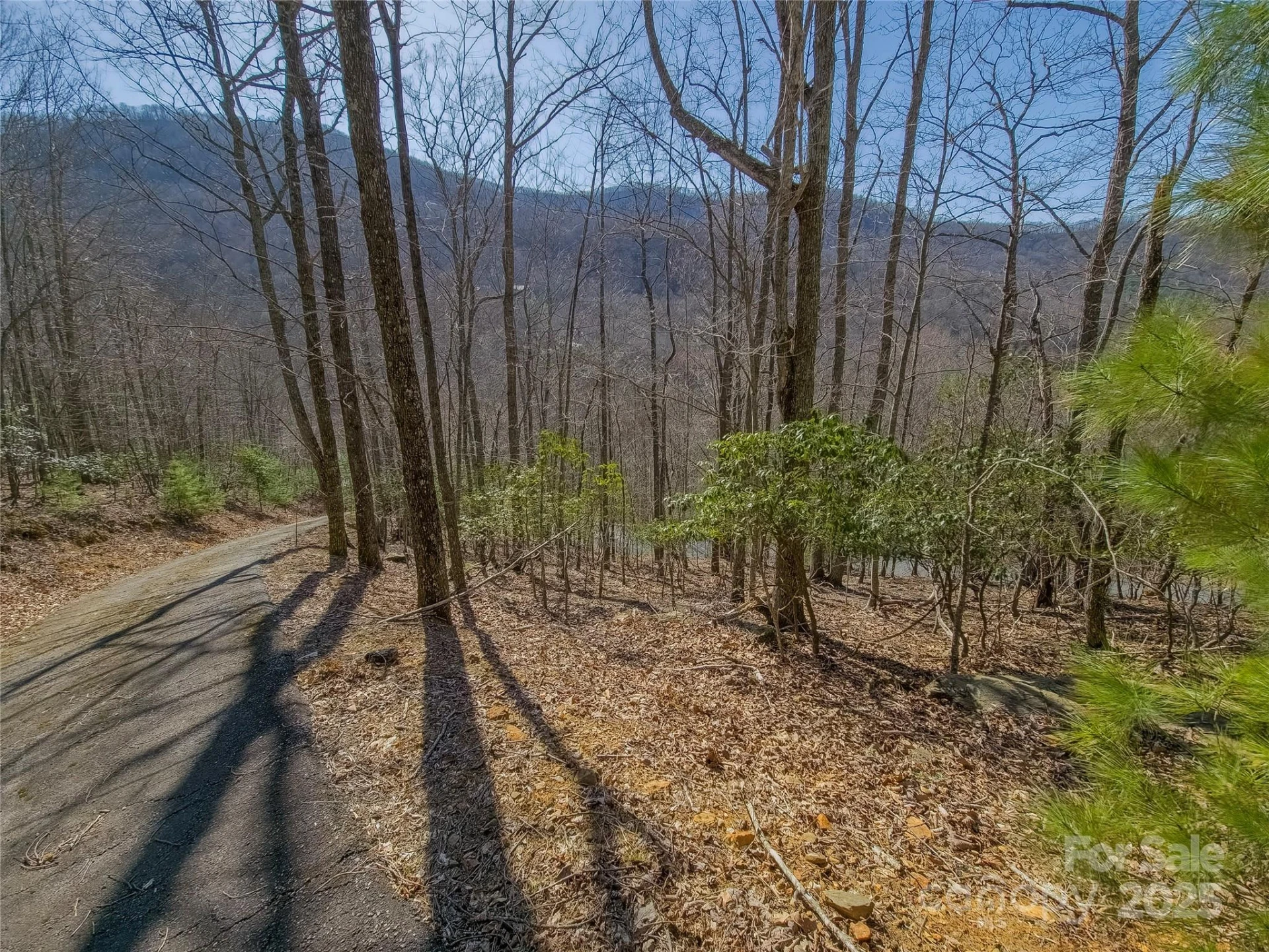 195 Smokemont Drive #64 - Photo 3