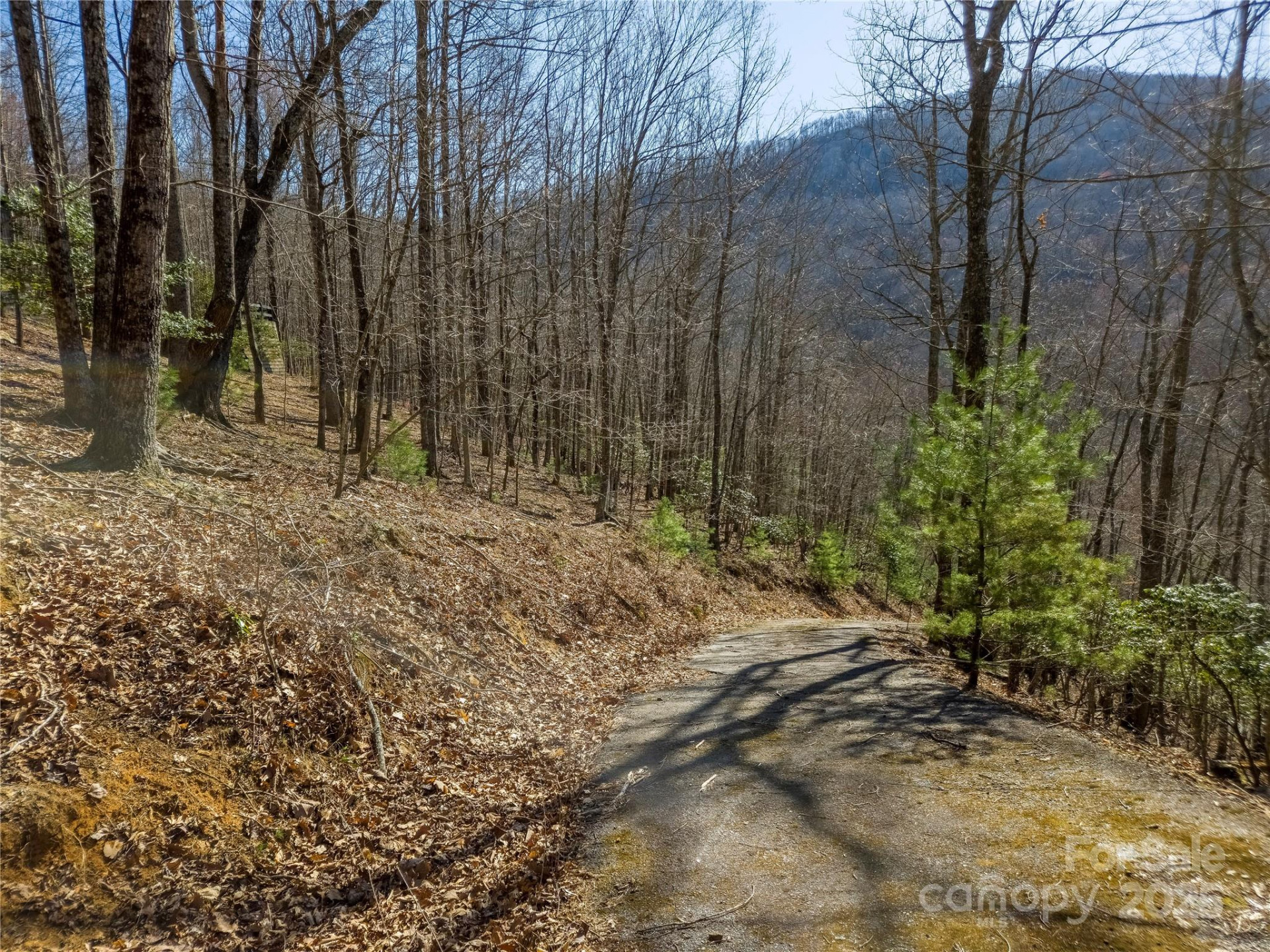 195 Smokemont Drive #64 - Photo 4