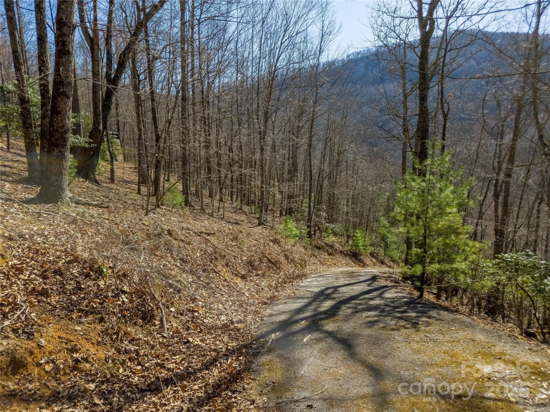 195 Smokemont Drive #64 - Photo 4