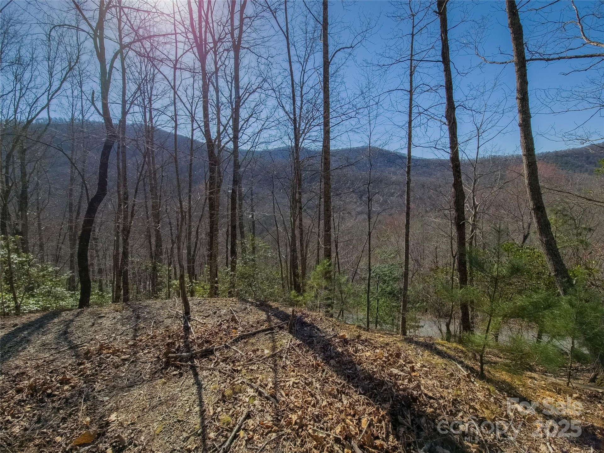 195 Smokemont Drive #64 - Photo 5