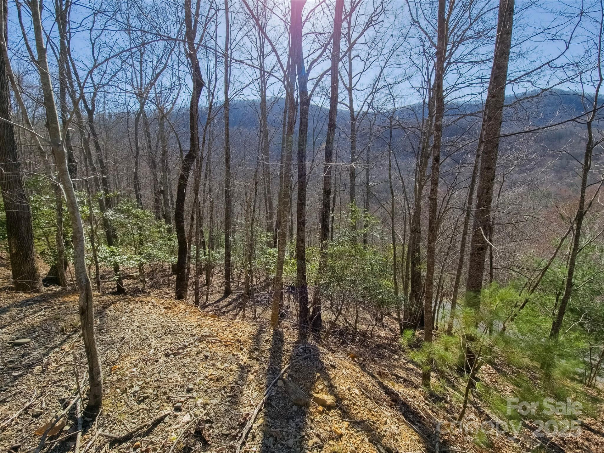 195 Smokemont Drive #64 - Photo 6