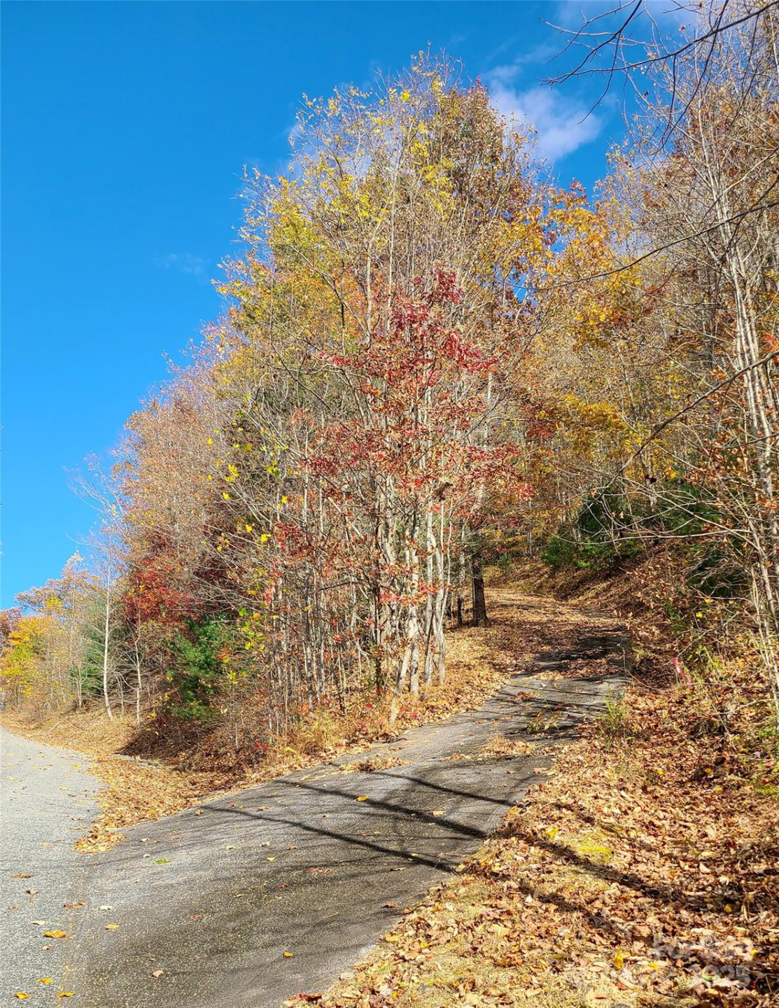 195 Smokemont Drive #64 - Photo 9