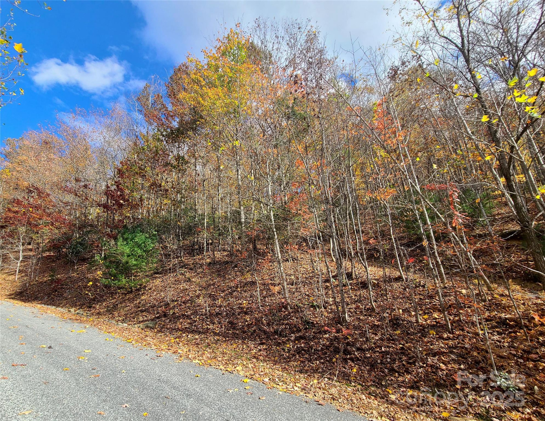 195 Smokemont Drive #64 - Photo 10