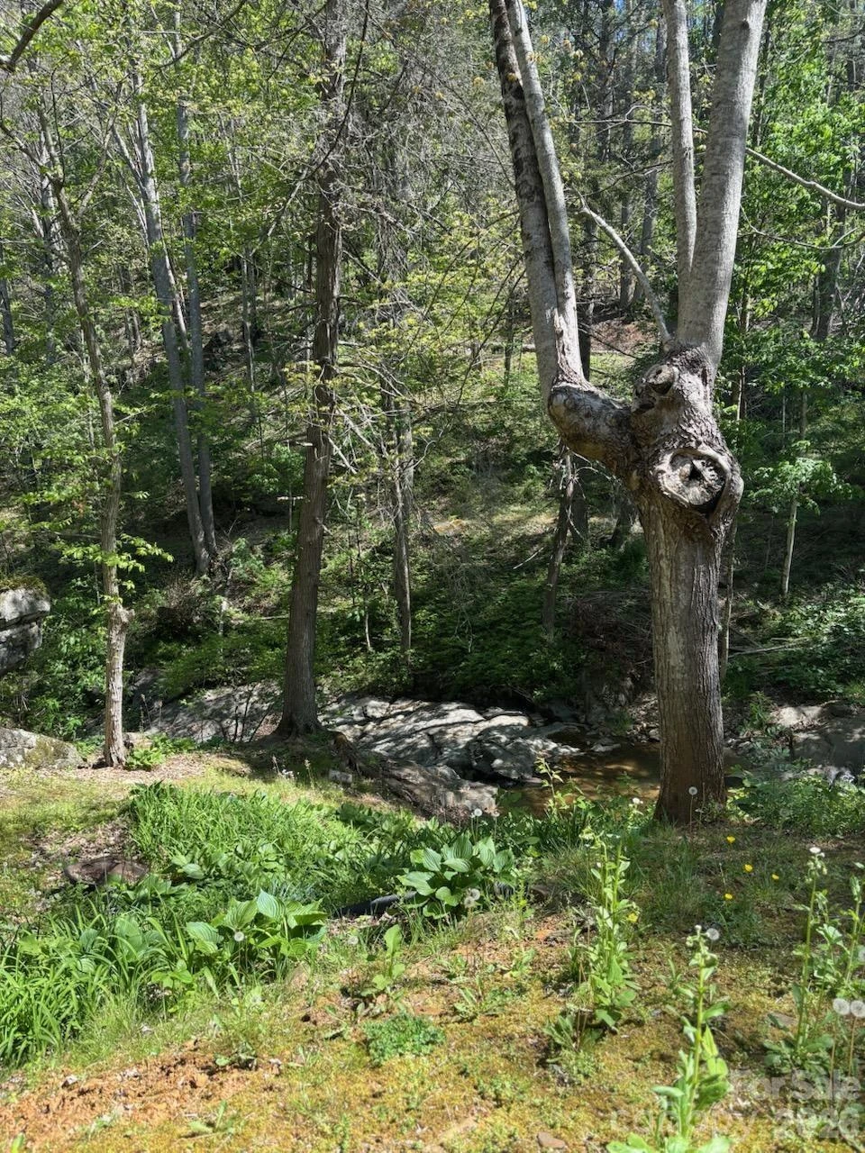 324 Marble Mine Road - Photo 57