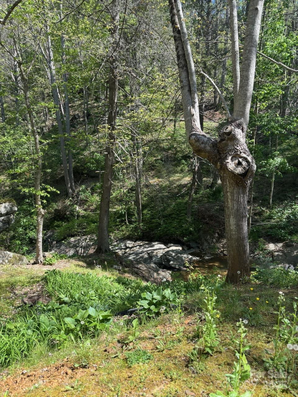 324 Marble Mine Road - Photo 32