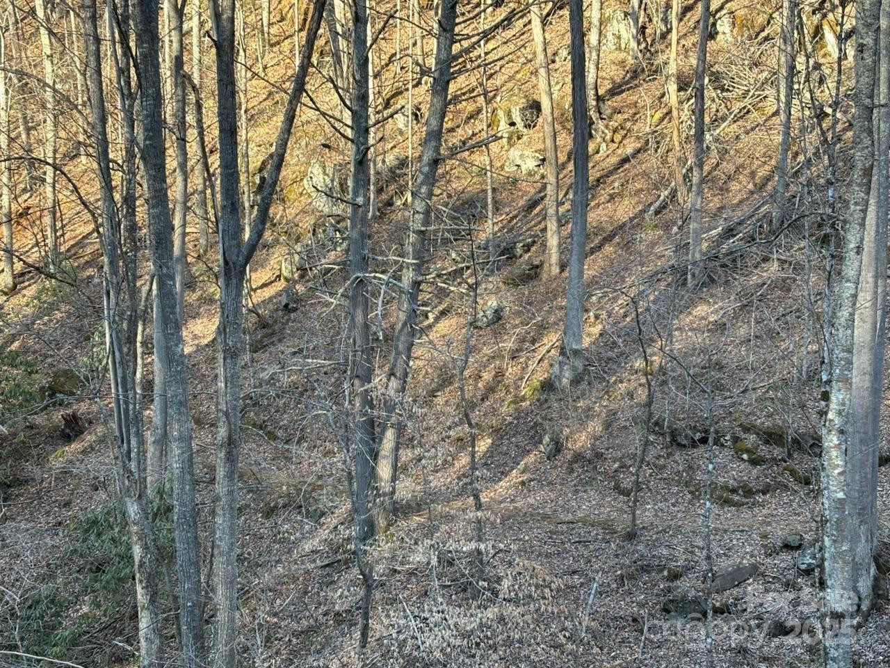 324 Marble Mine Road - Photo 5