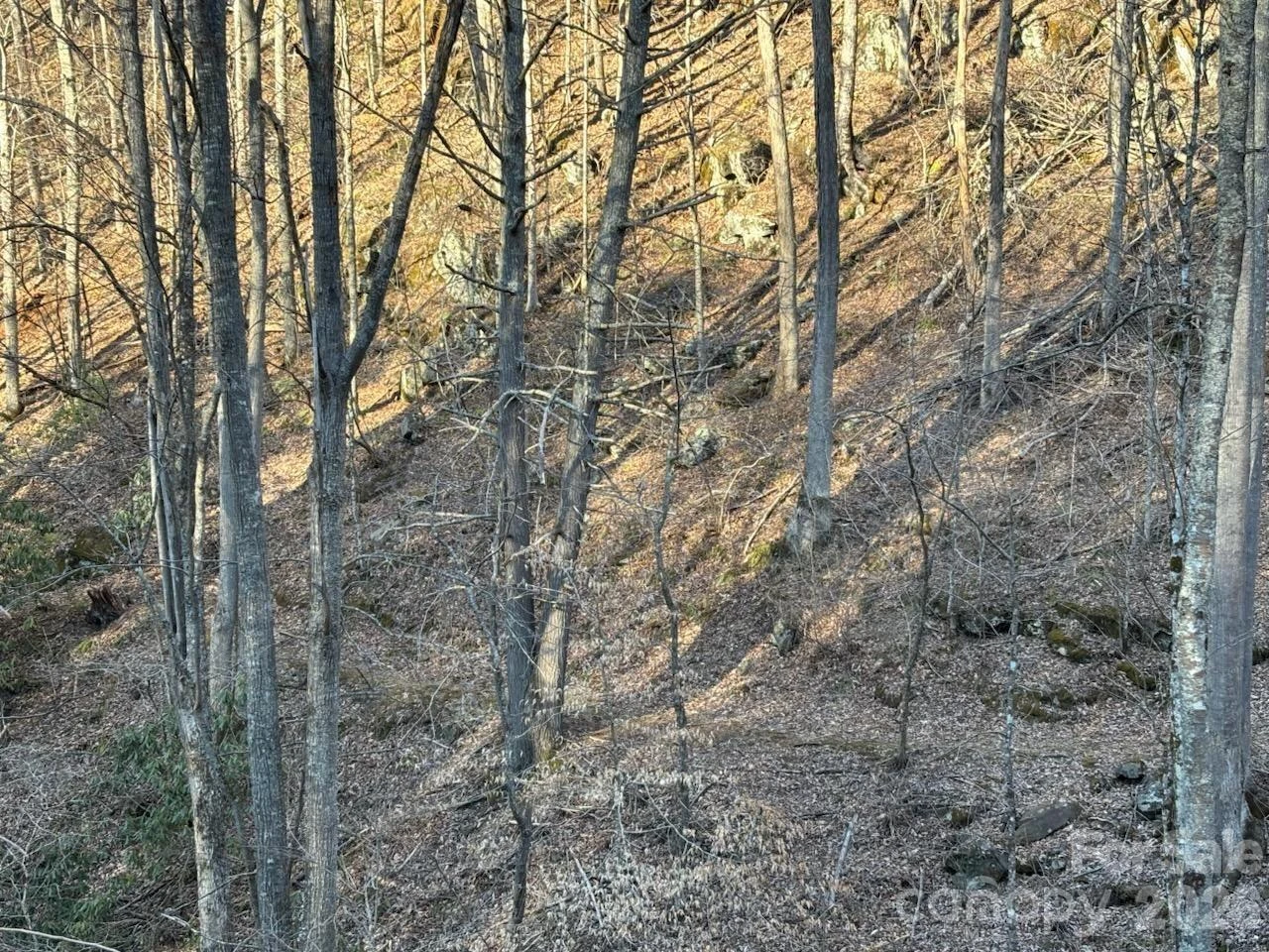 324 Marble Mine Road - Photo 9