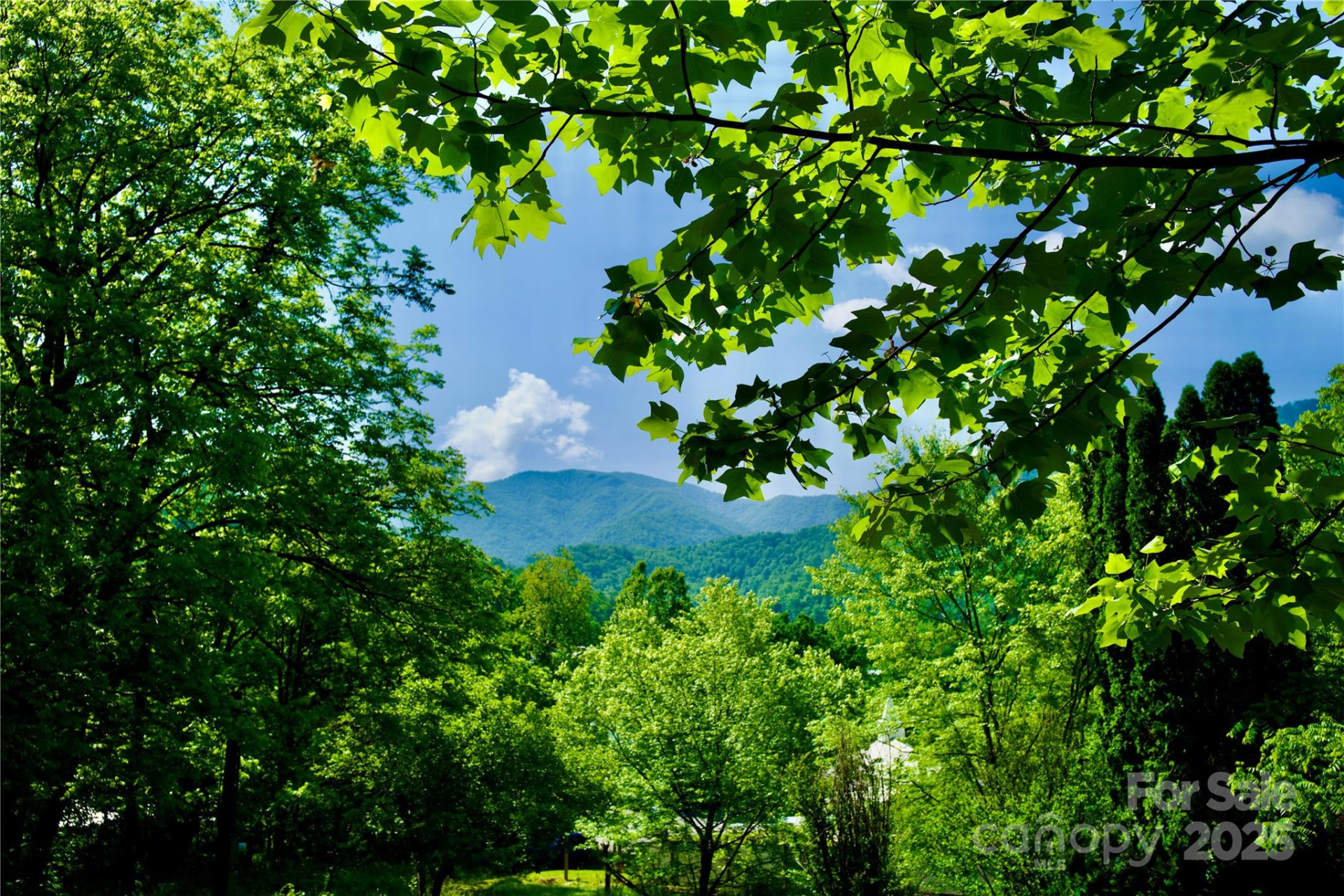 38 Buchanan Hill Road - Photo 2