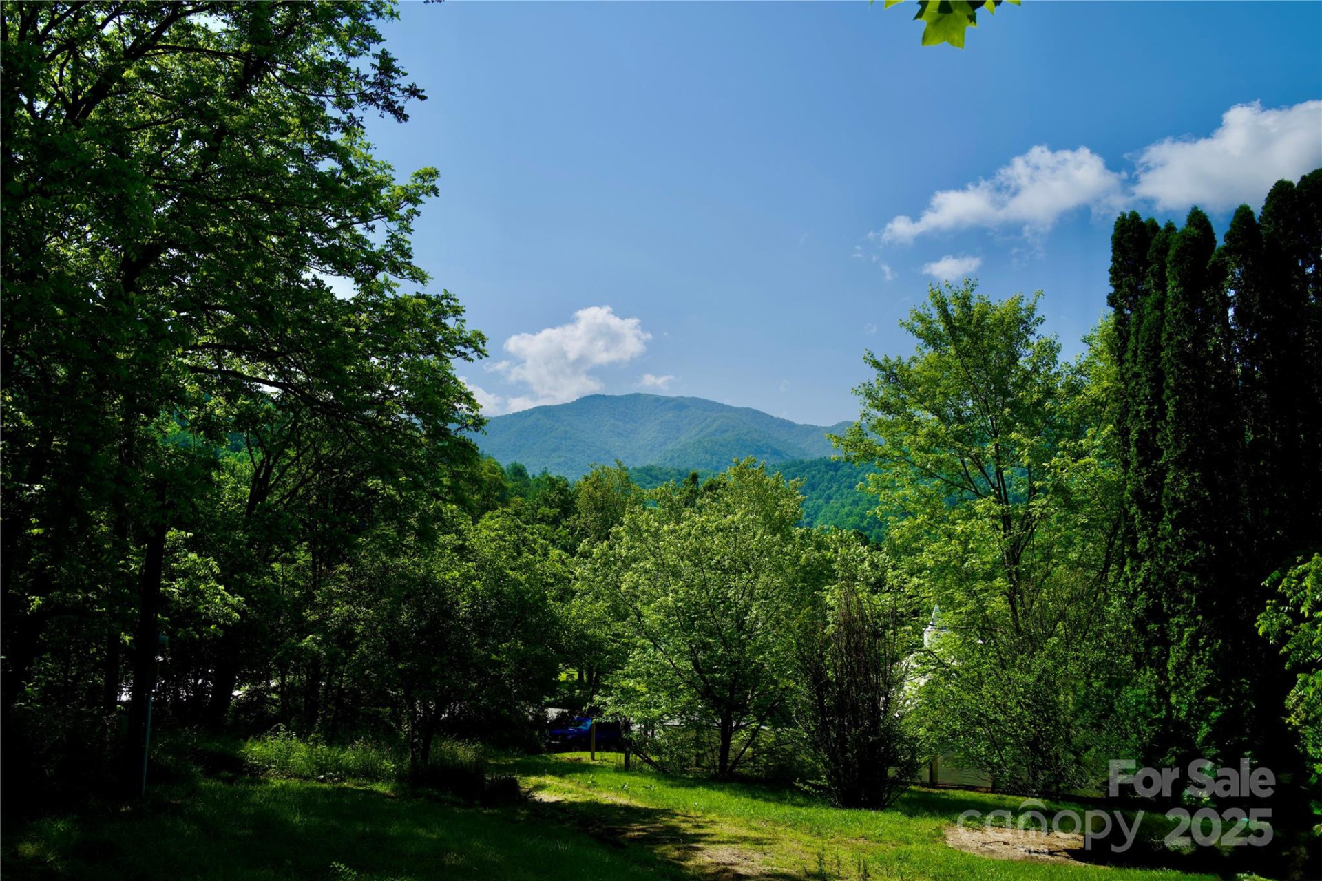 38 Buchanan Hill Road - Photo 4