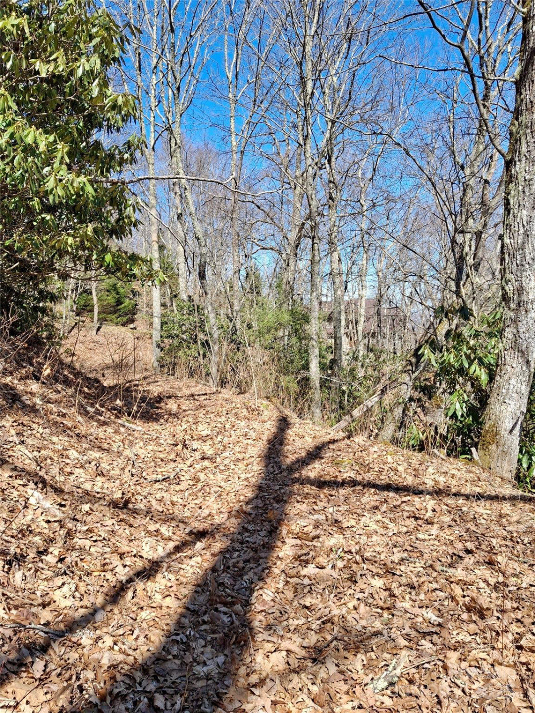 0 Eagles Nest Road - Photo 11