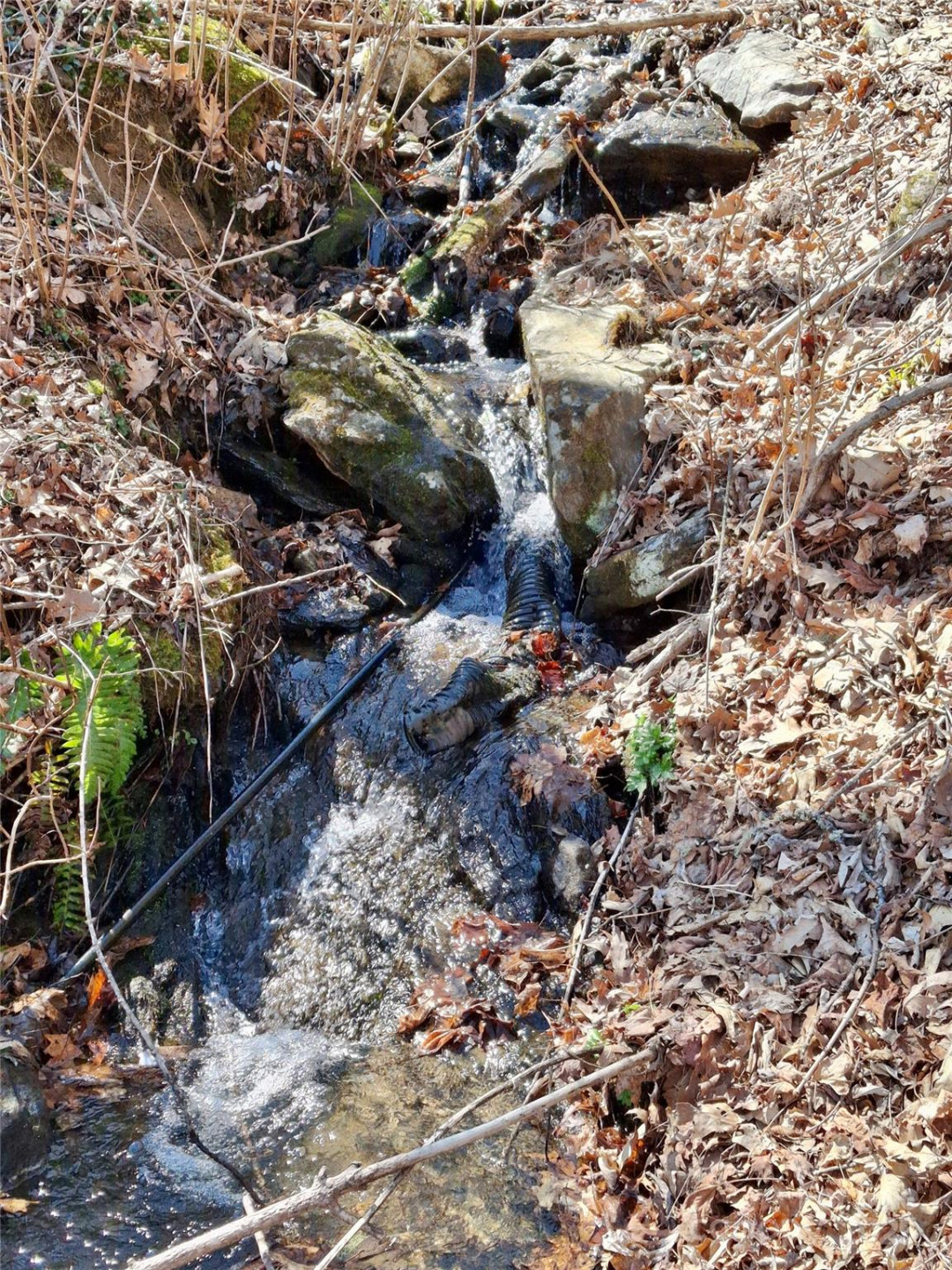 0 Eagles Nest Road - Photo 14