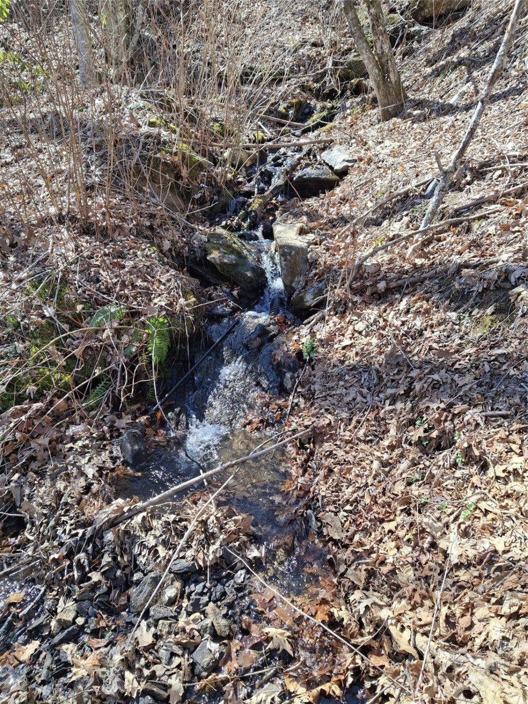 0 Eagles Nest Road - Photo 15