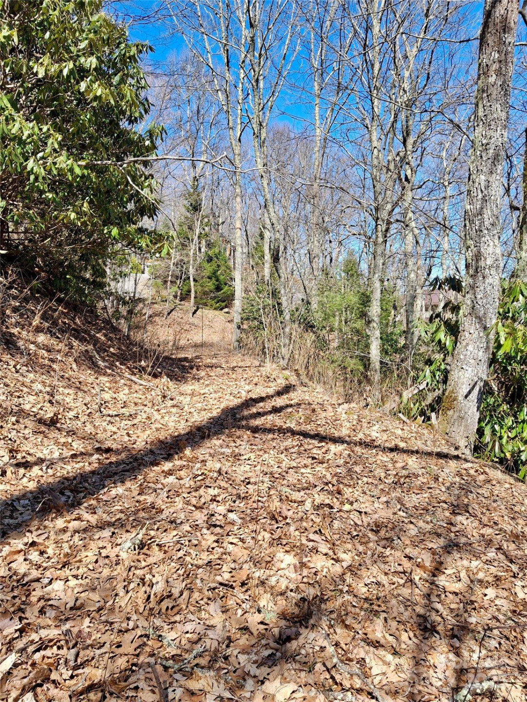 0 Eagles Nest Road - Photo 16