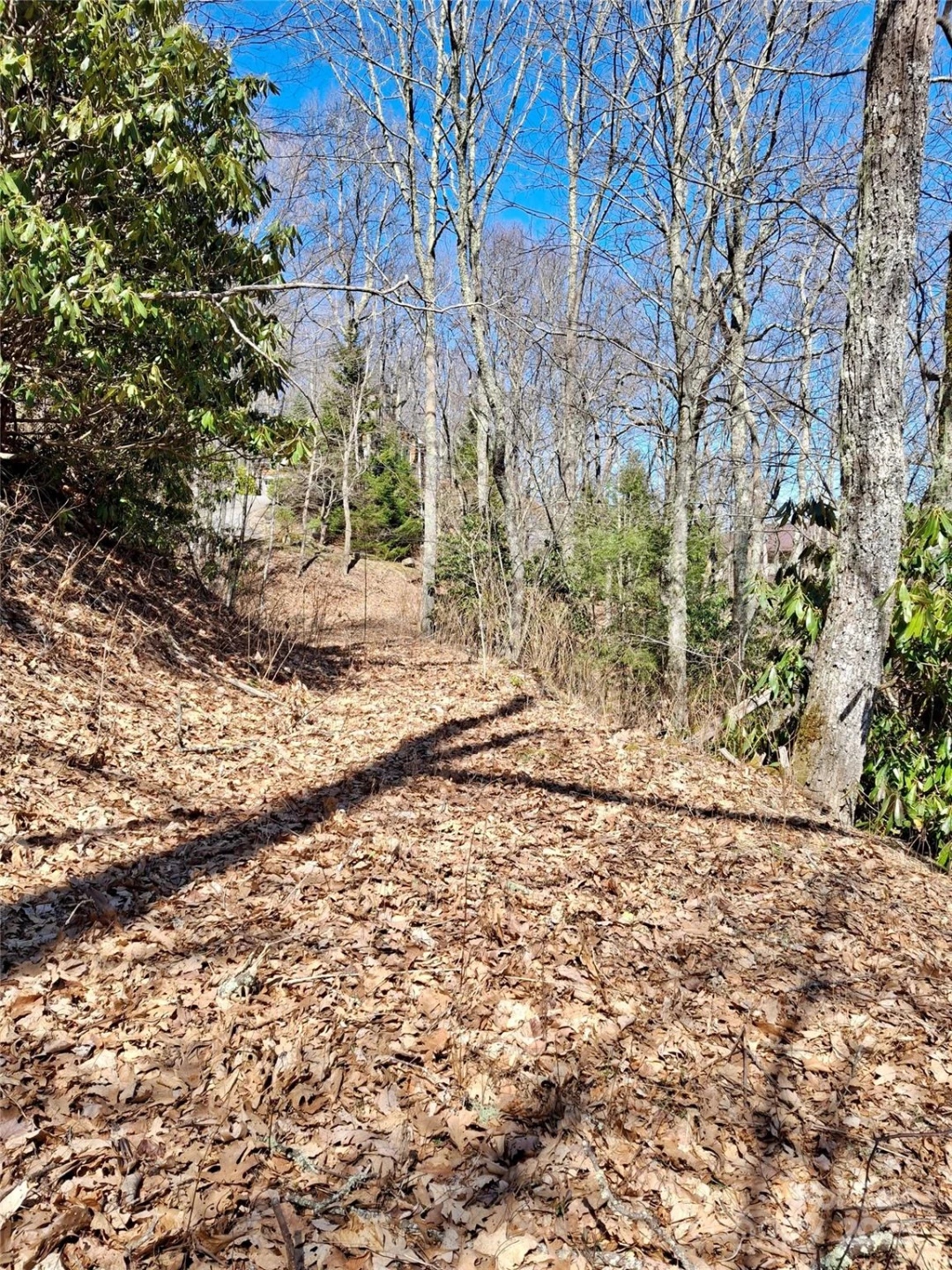 0 Eagles Nest Road - Photo 16