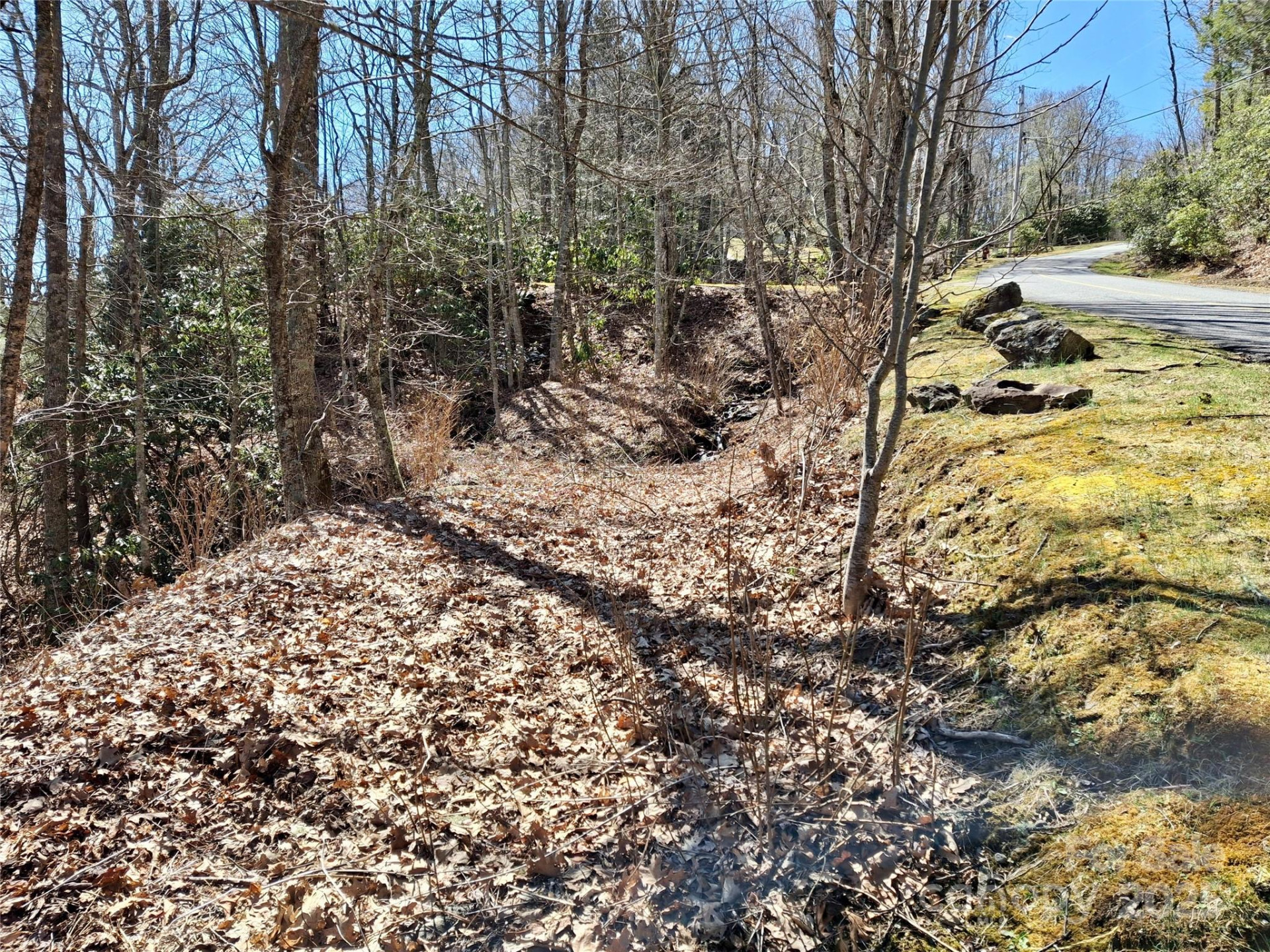 0 Eagles Nest Road - Photo 4