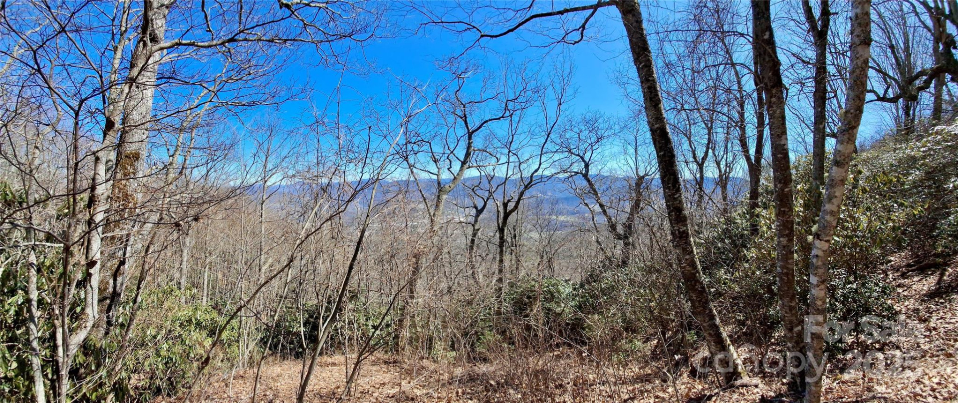 0 Eagles Nest Road - Photo 5