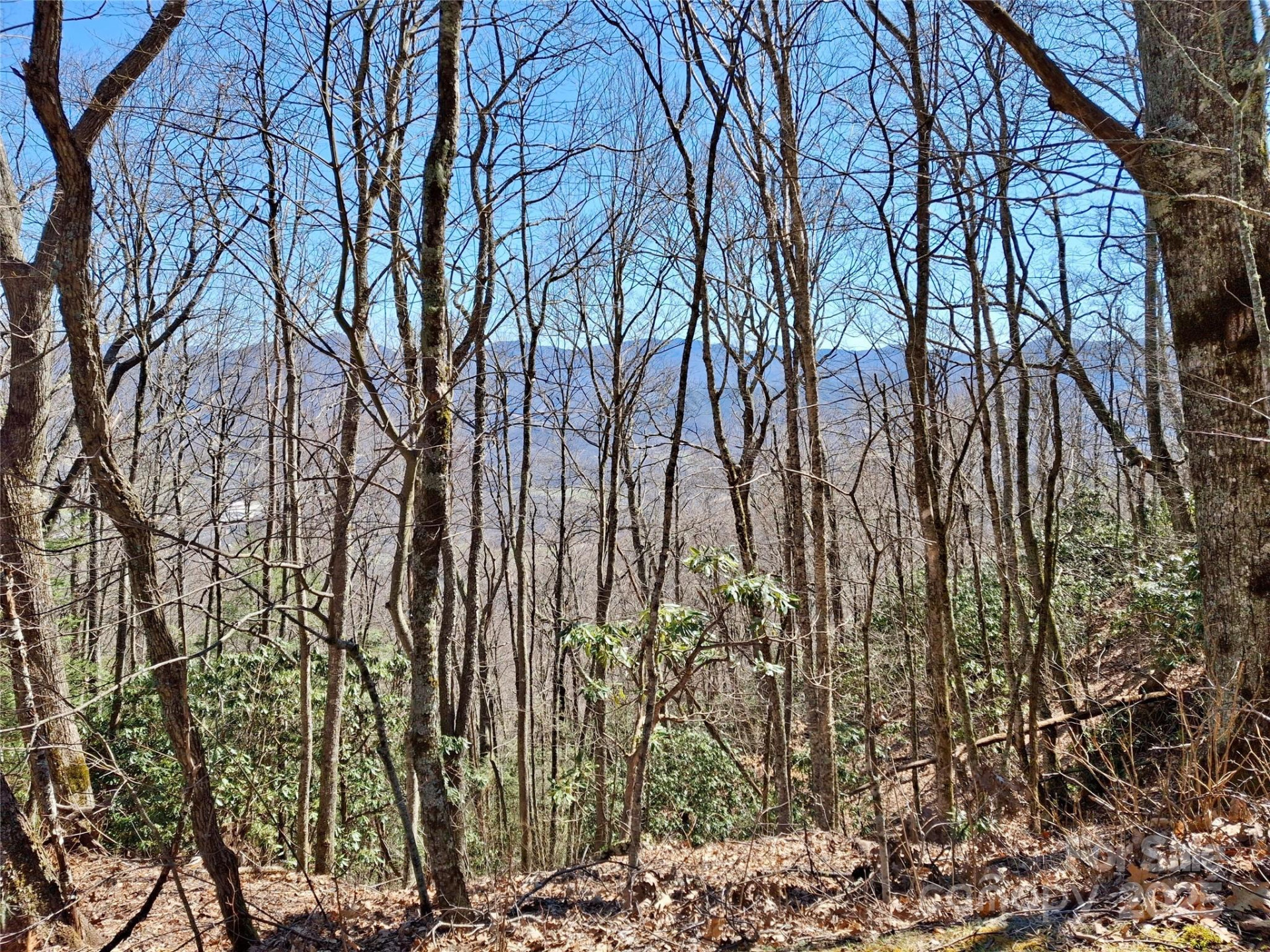 0 Eagles Nest Road - Photo 7