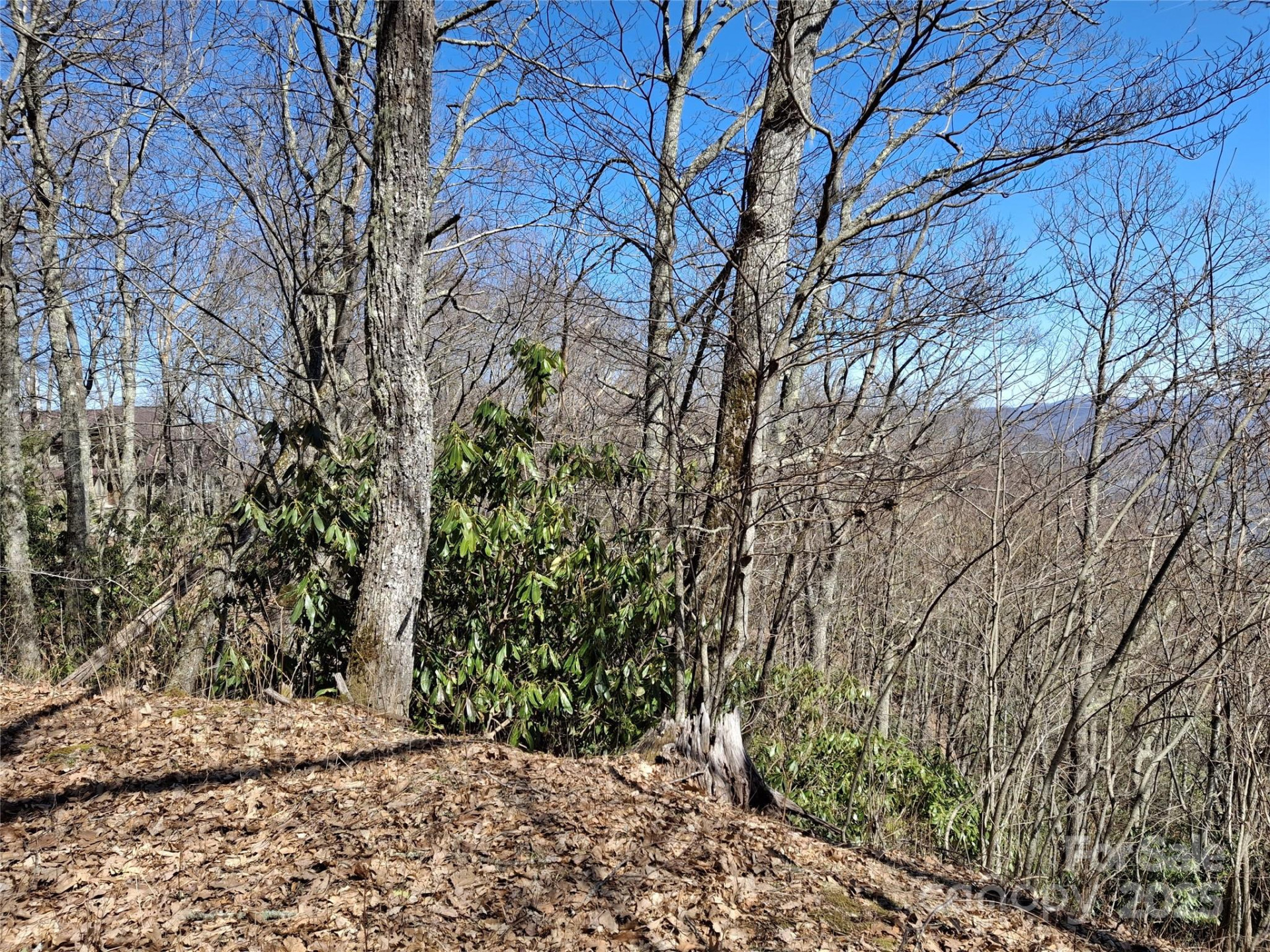 0 Eagles Nest Road - Photo 8