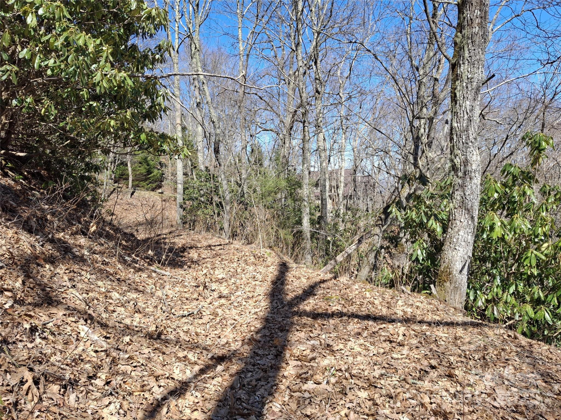 0 Eagles Nest Road - Photo 9