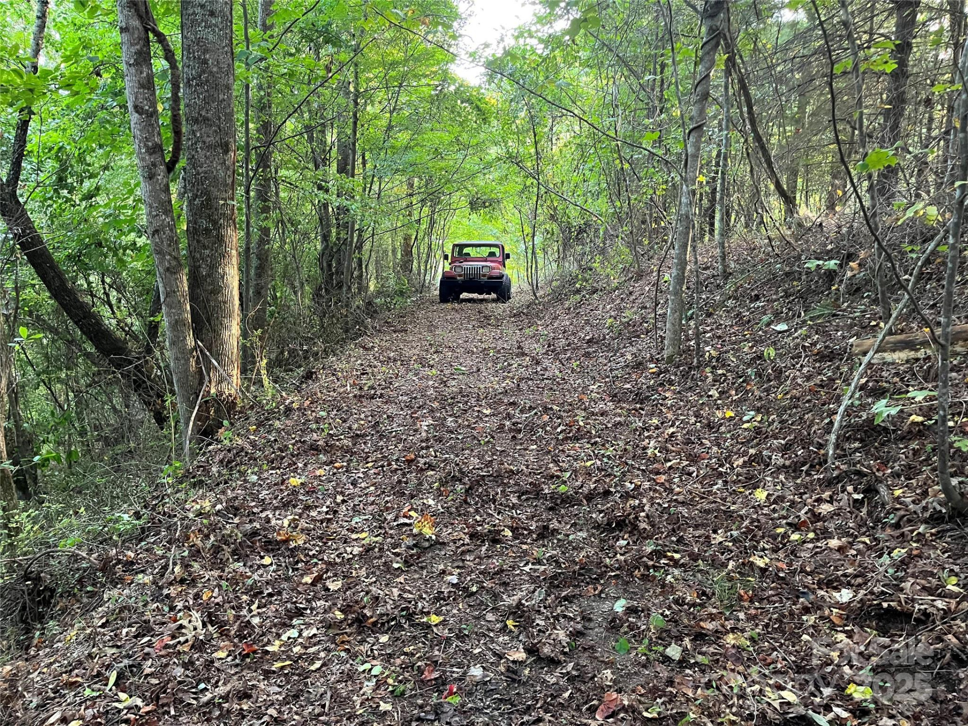 1961 Cane Creek Road - Photo 17