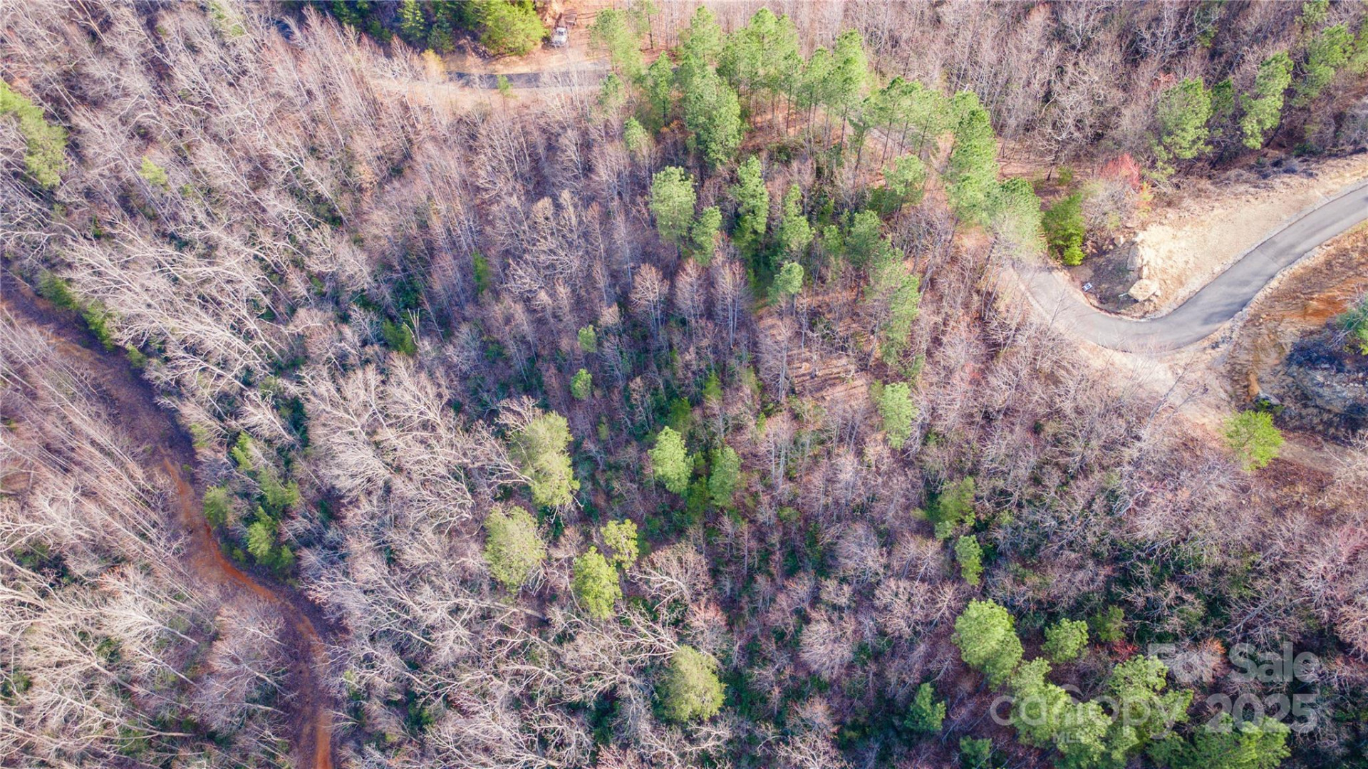 TBD Waterfall Drive #35 - Photo 10