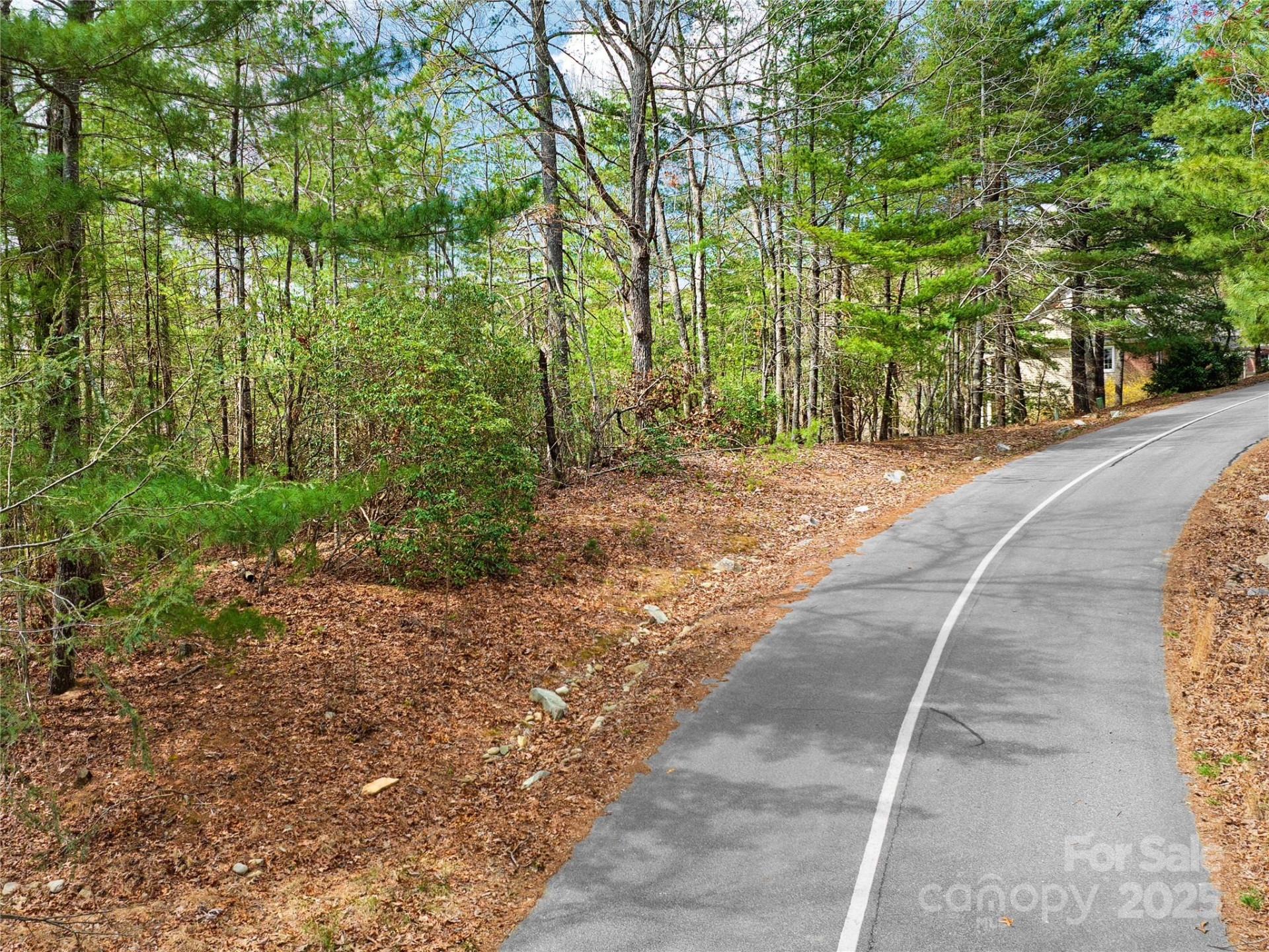 Lot 71 South Ridge Drive - Photo 4